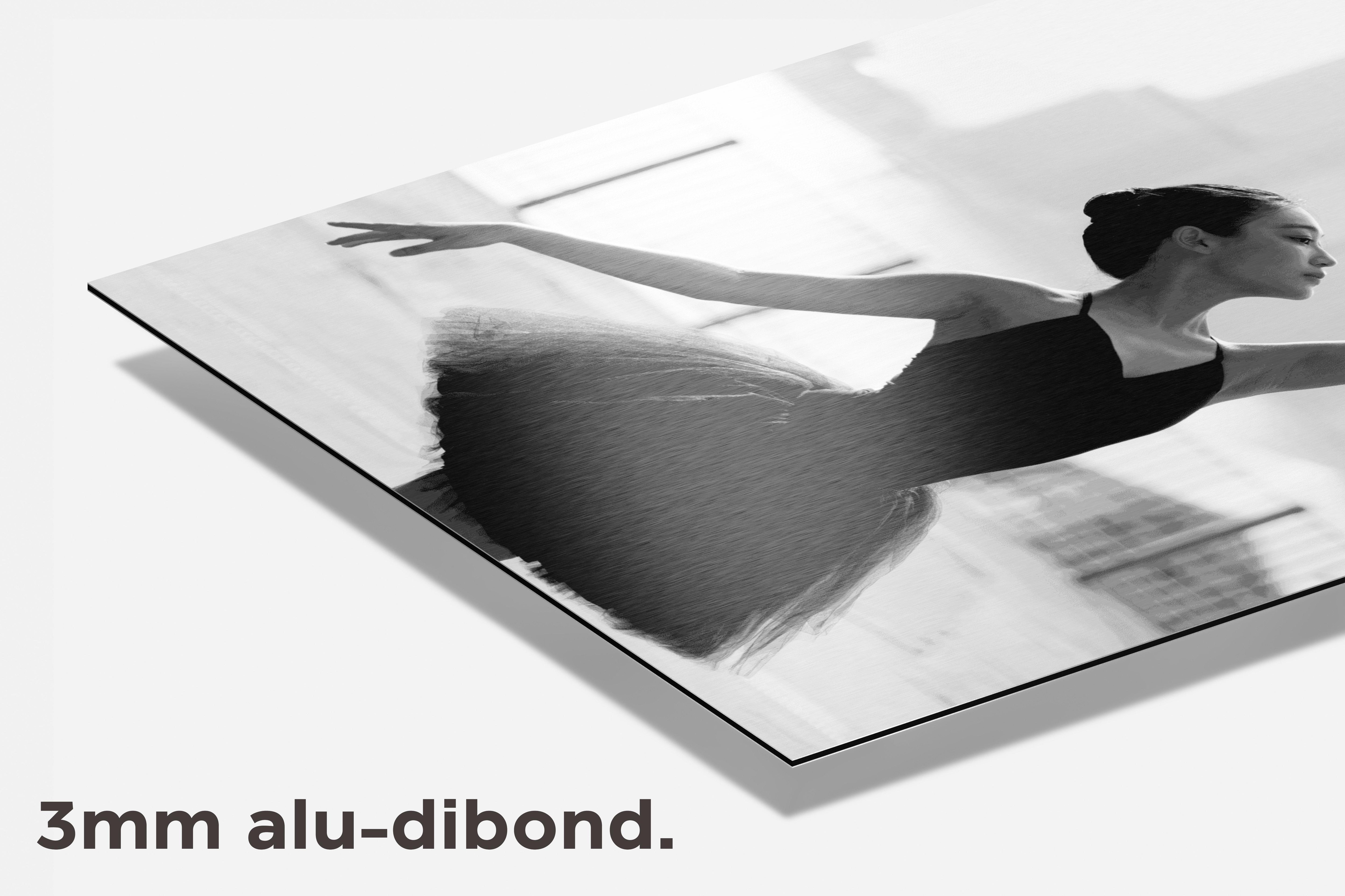 Ballerina Stad dibond detail