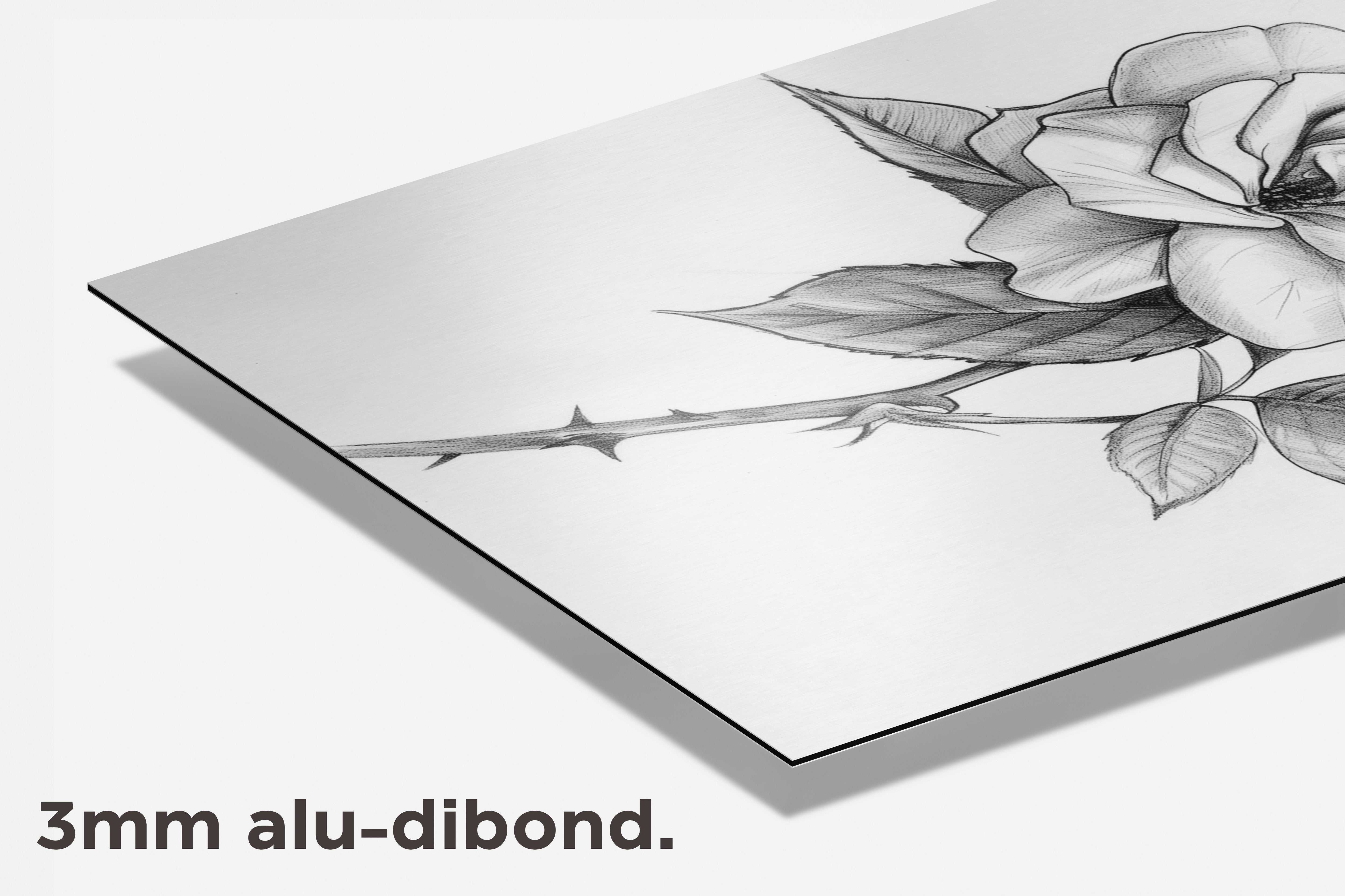 Roos Schets dibond detail