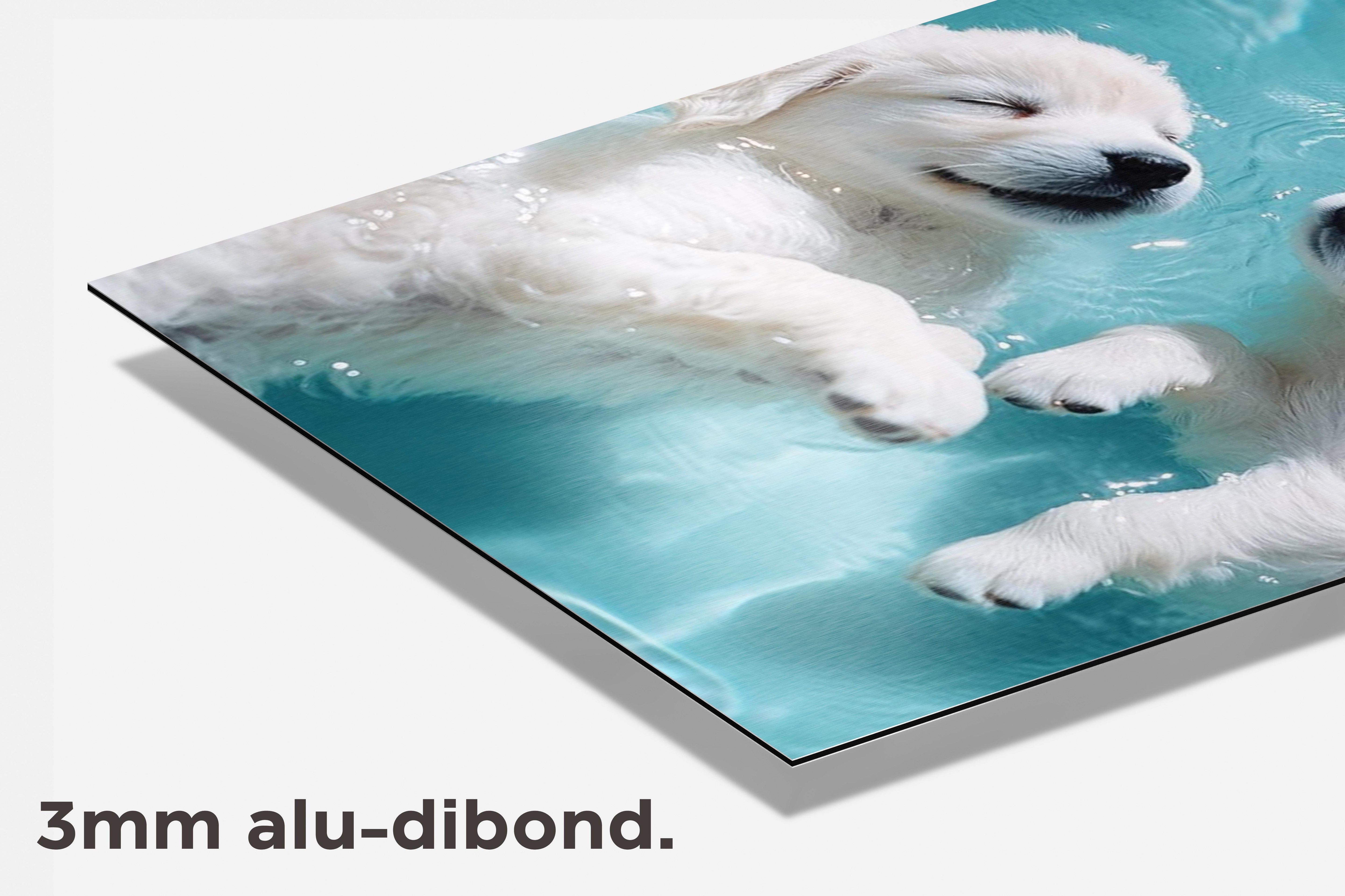 Puppy's Zwemmen dibond detail