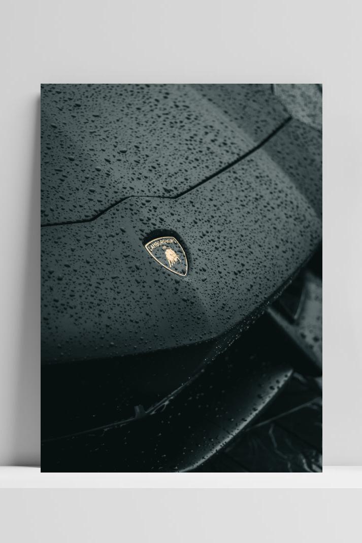 Lambo Logo op 3mm aluminium dibond