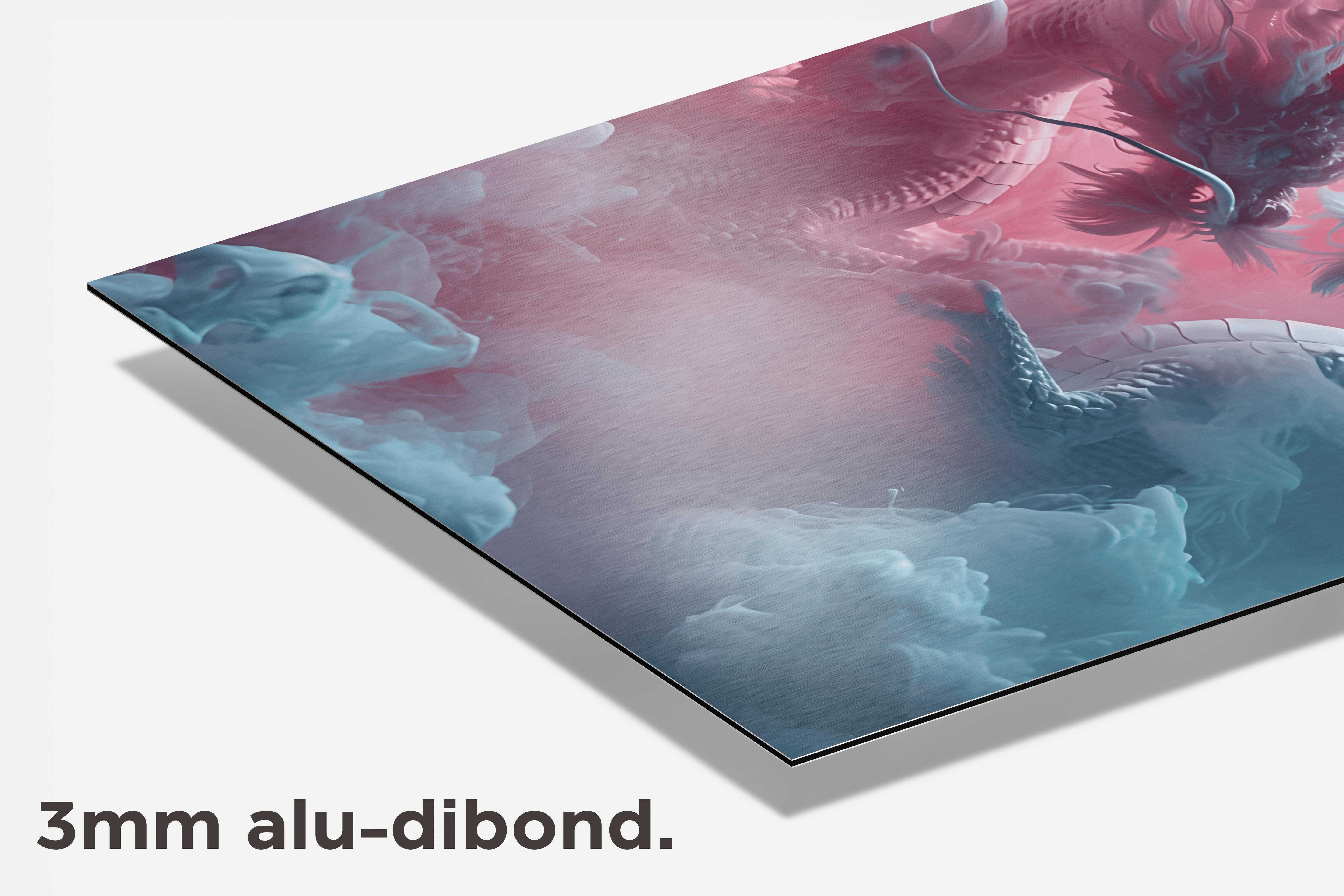 Draken Clash dibond detail