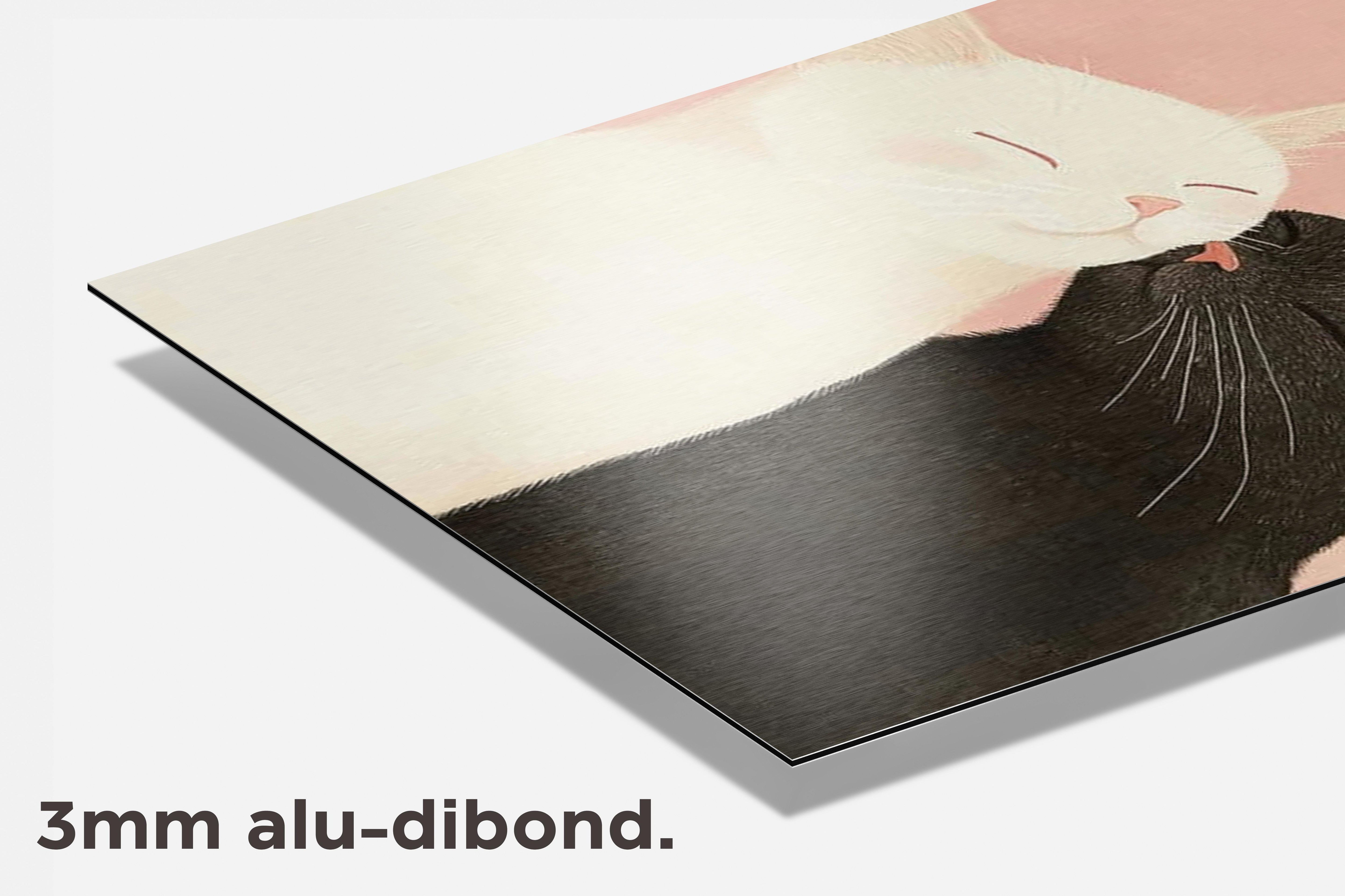 Schattige Katten dibond detail
