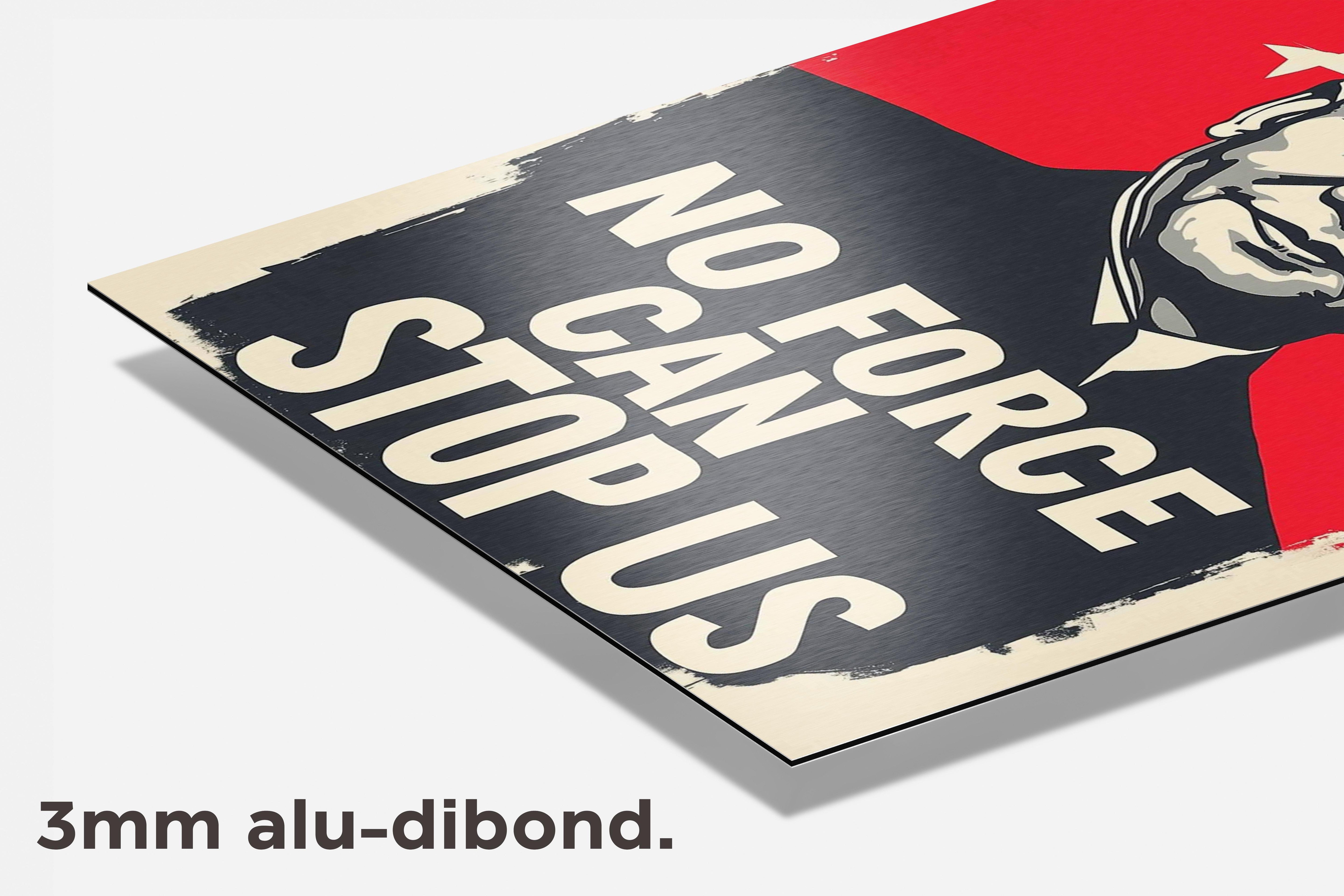 Xi Jinping dibond detail