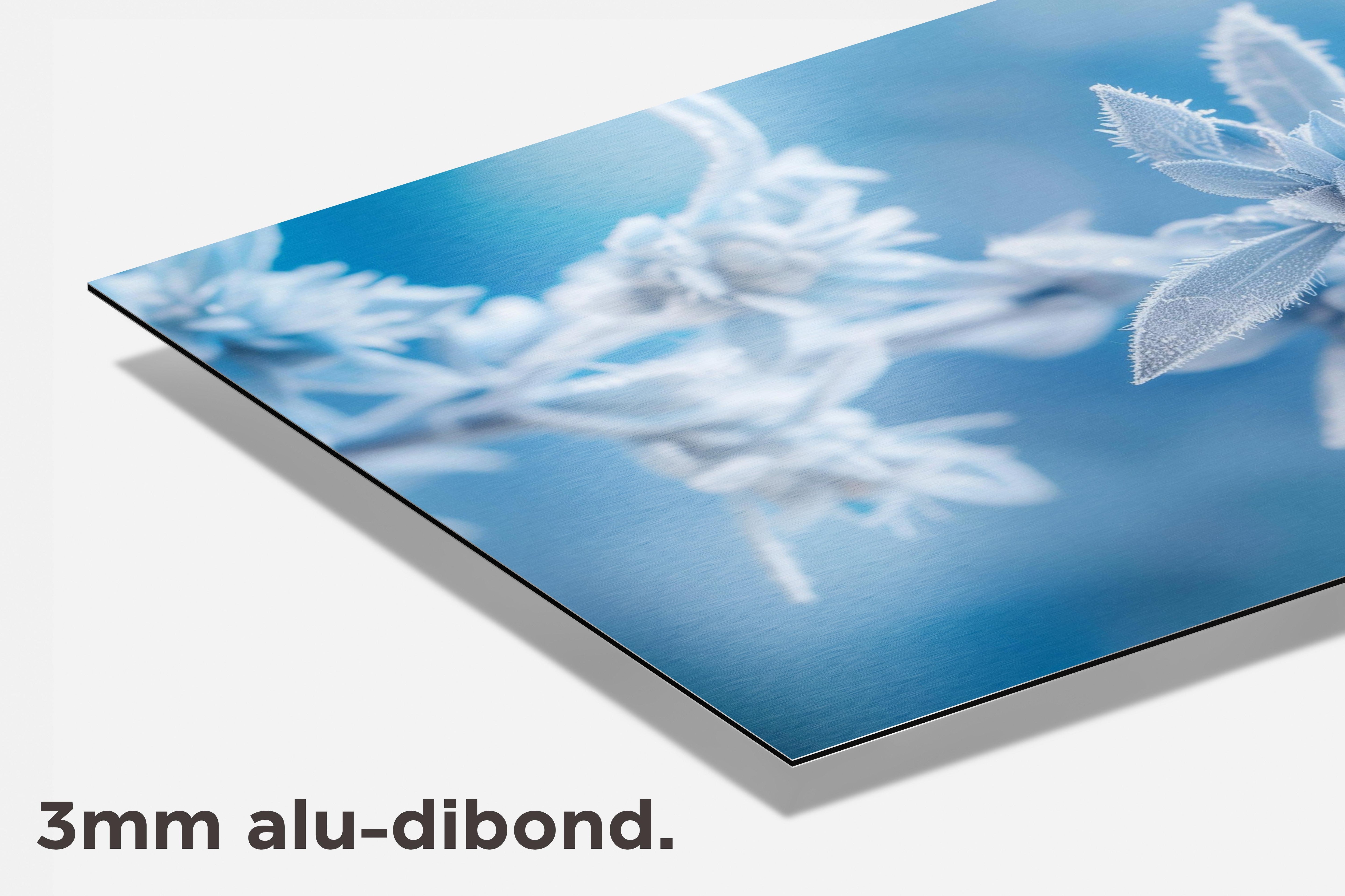 Edelweiss dibond detail