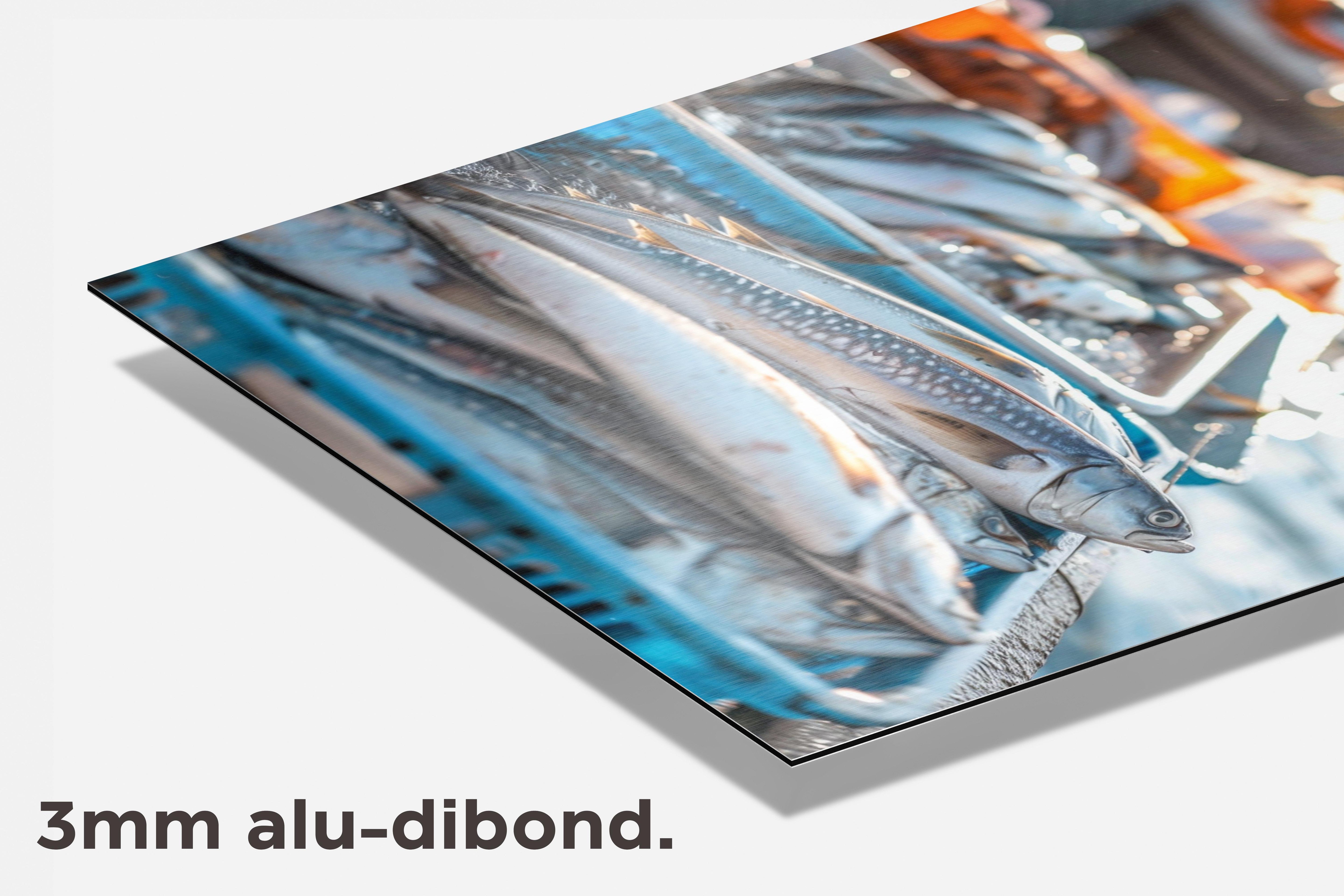 Vissen Haven dibond detail