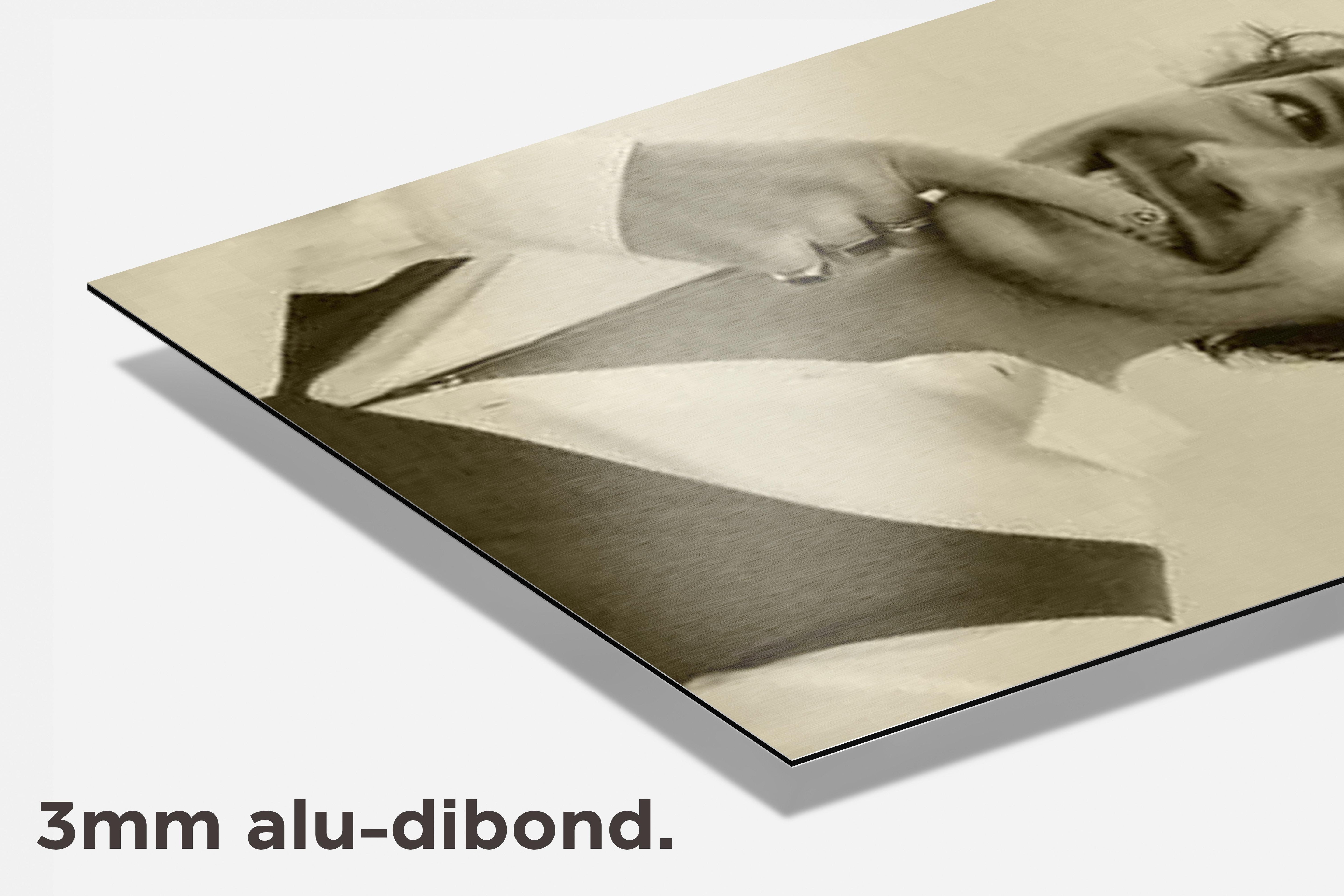 Harry Styles dibond detail