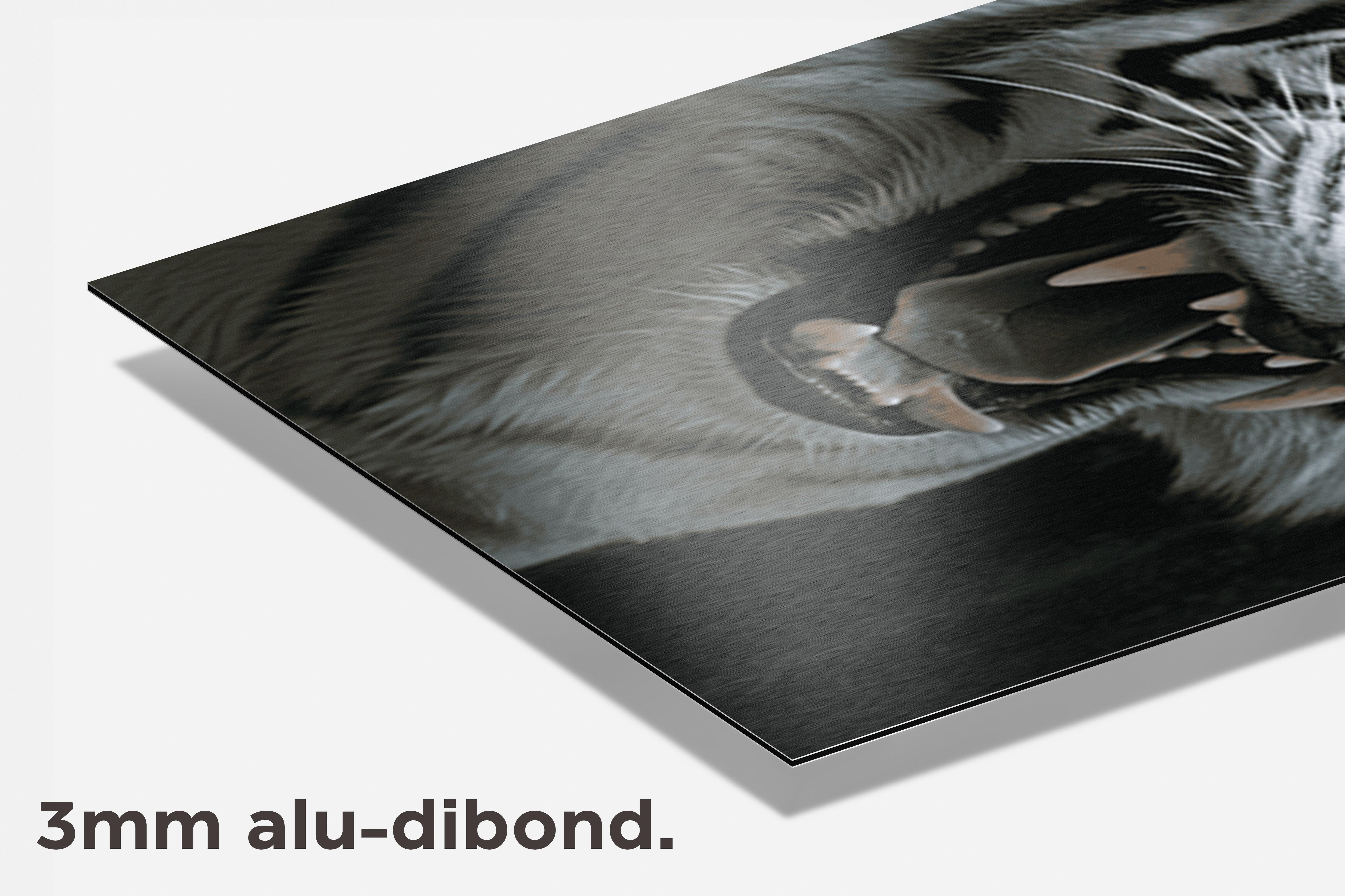 Witte Tijger Grom dibond detail