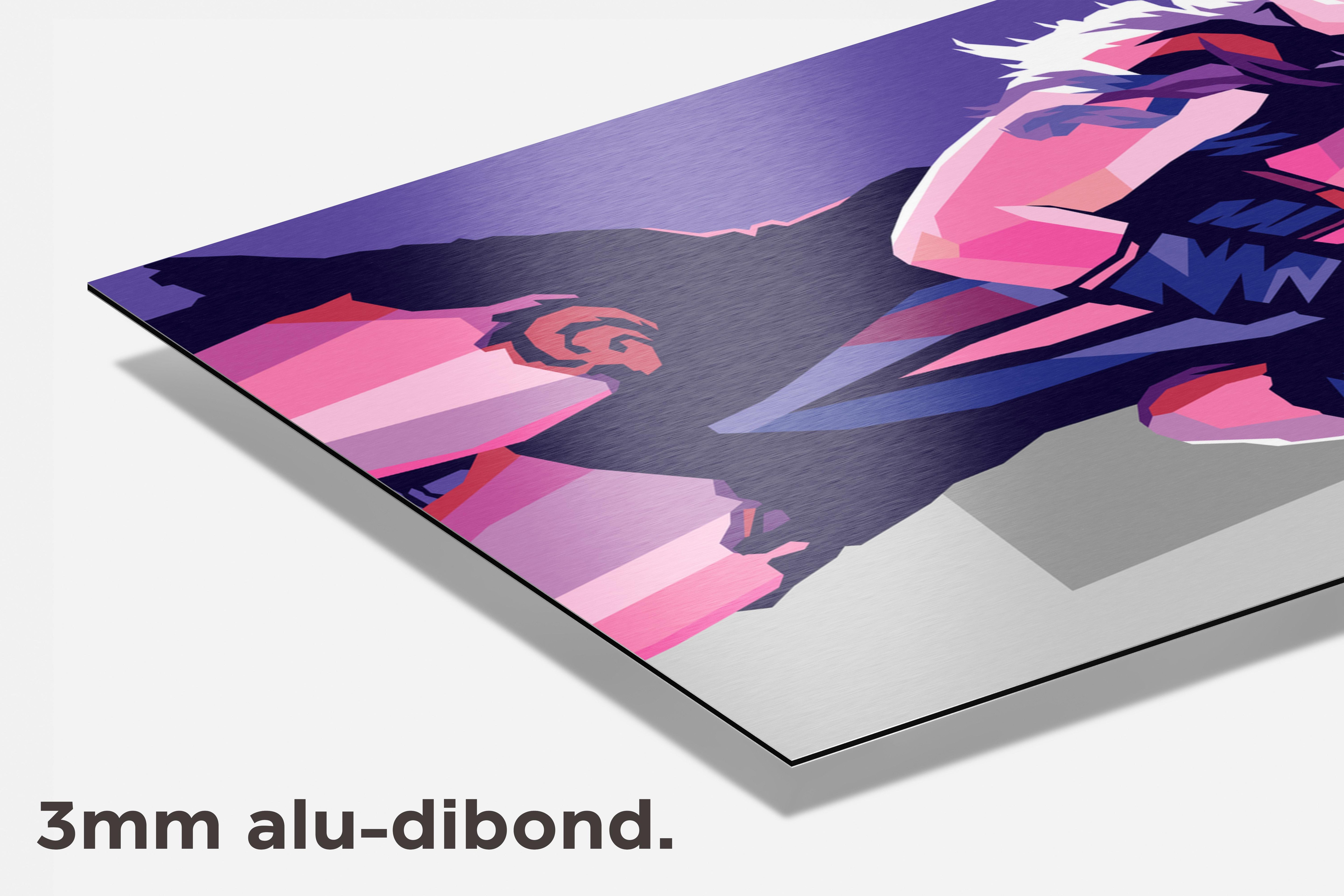 Beyonce Pop Art dibond detail
