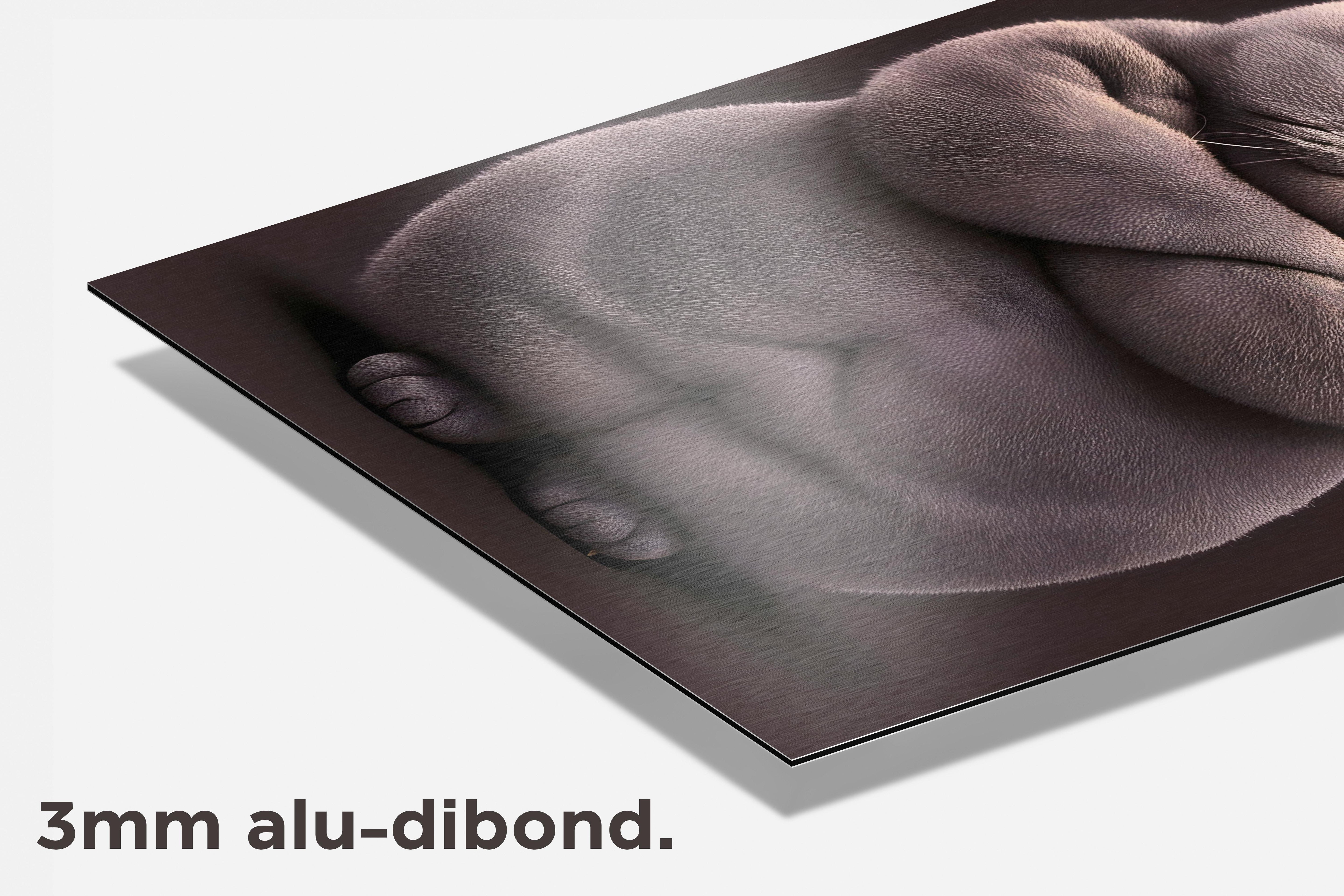 Grumpy Cat dibond detail