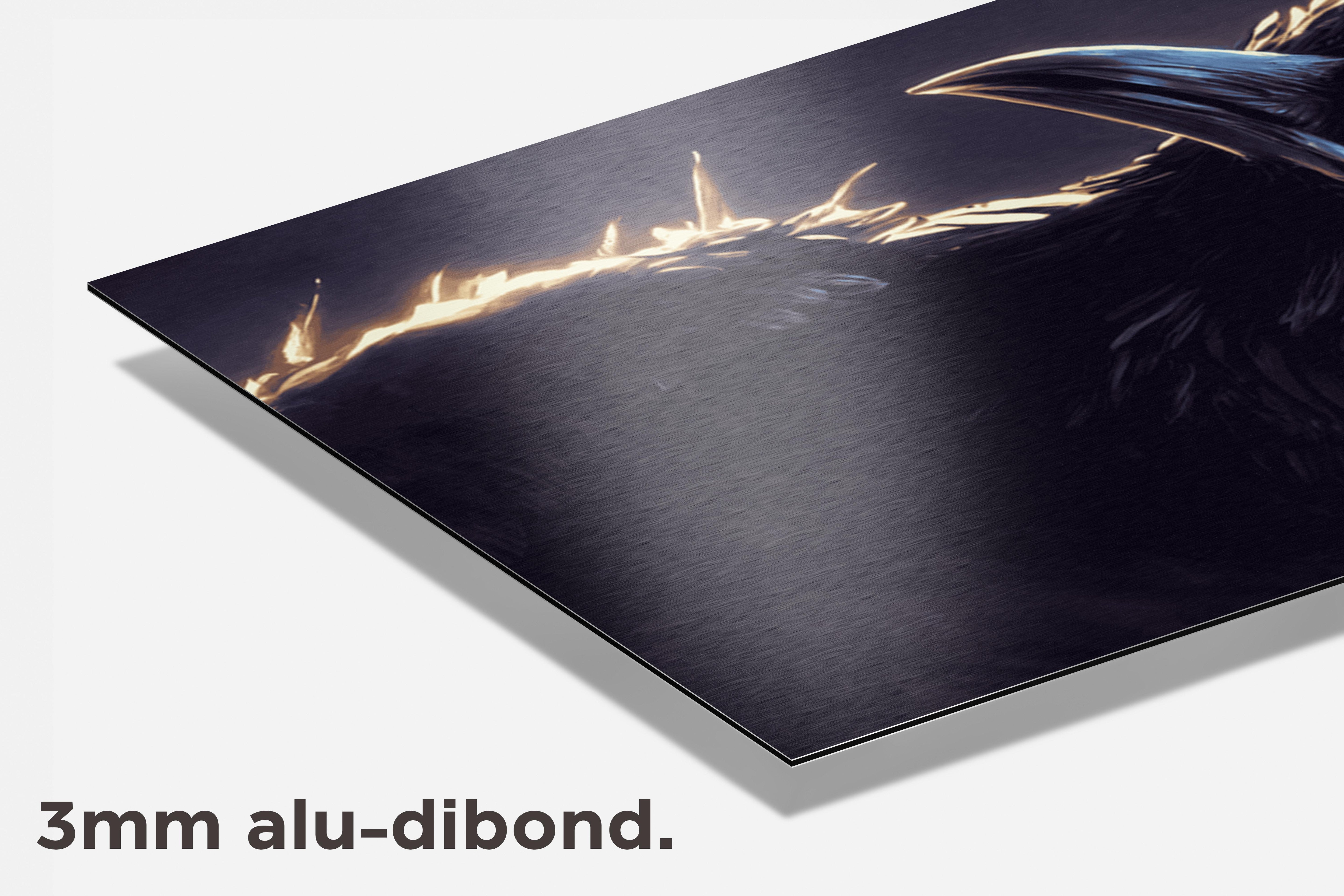 Kraai Poster dibond detail