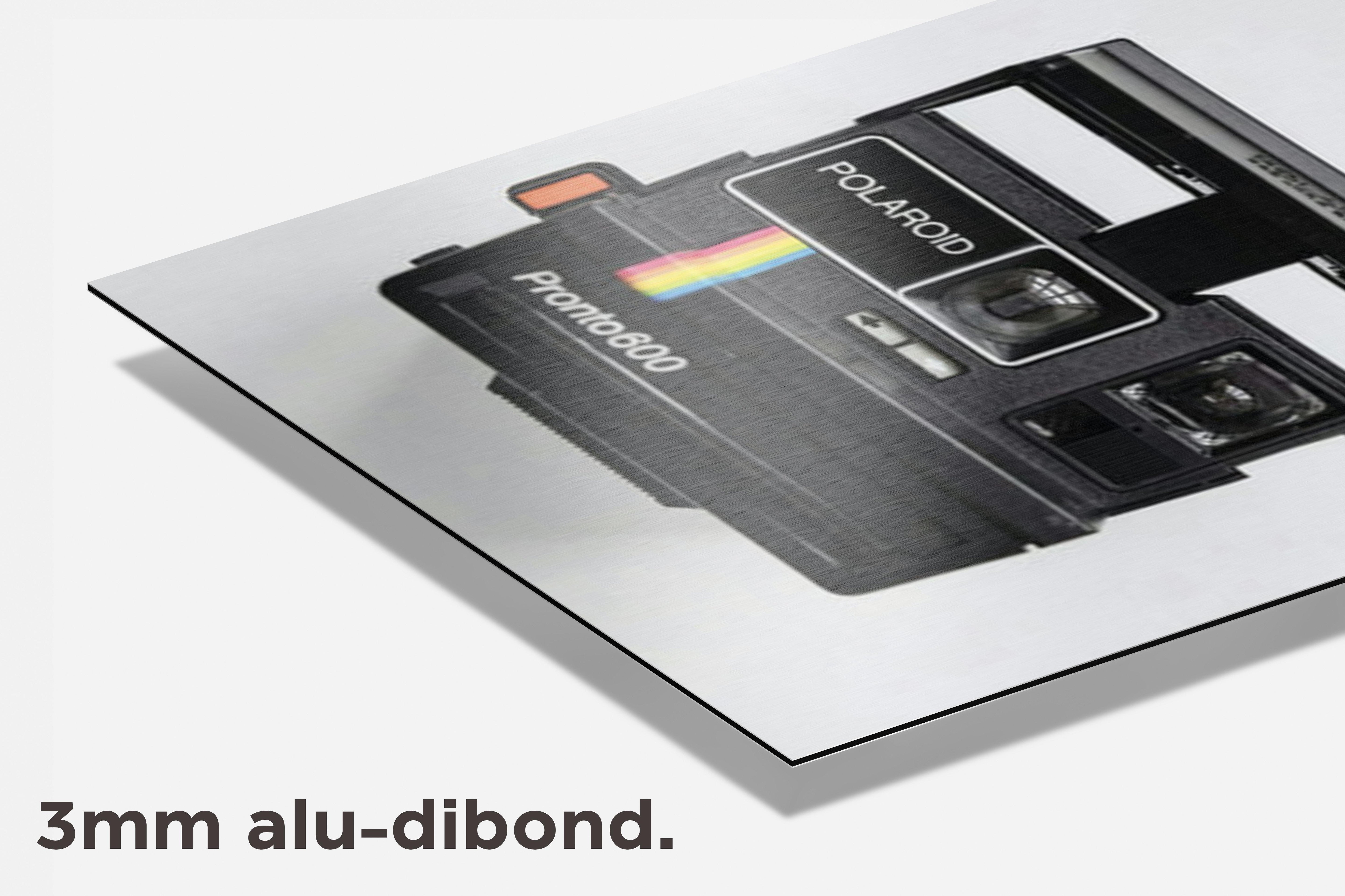 Polaroid dibond detail