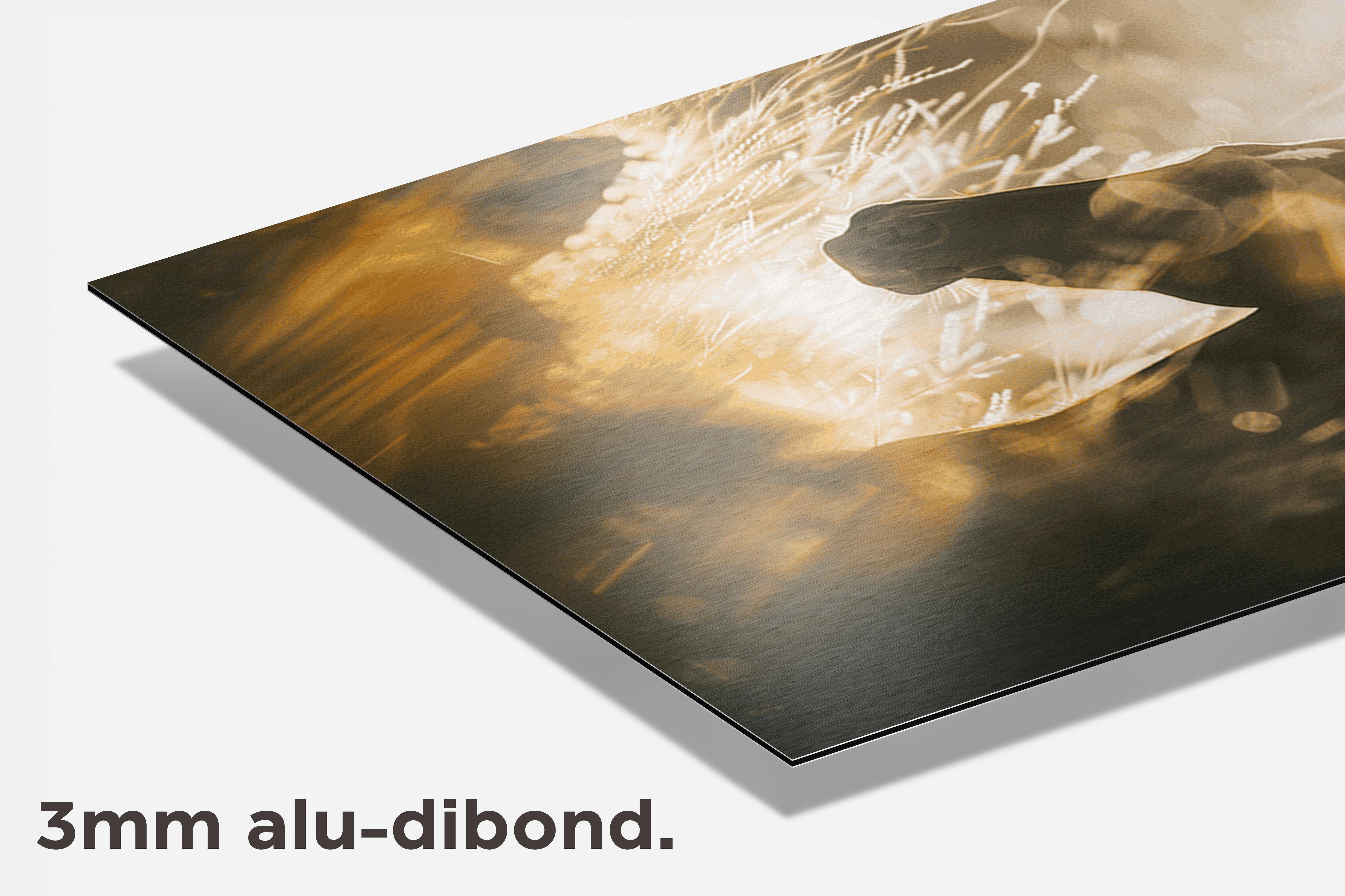Paard Zonlicht dibond detail