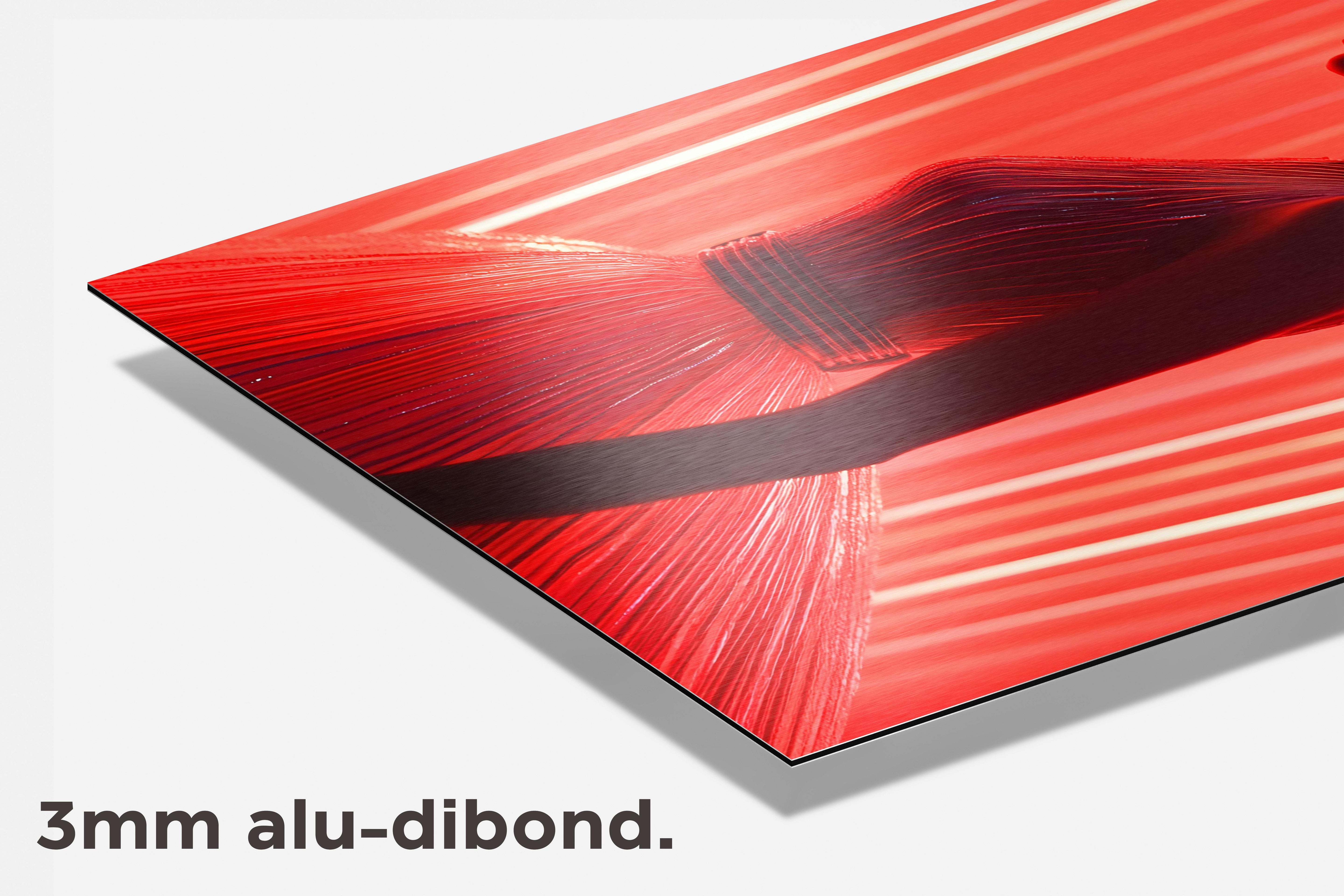 Vrouw Rood dibond detail