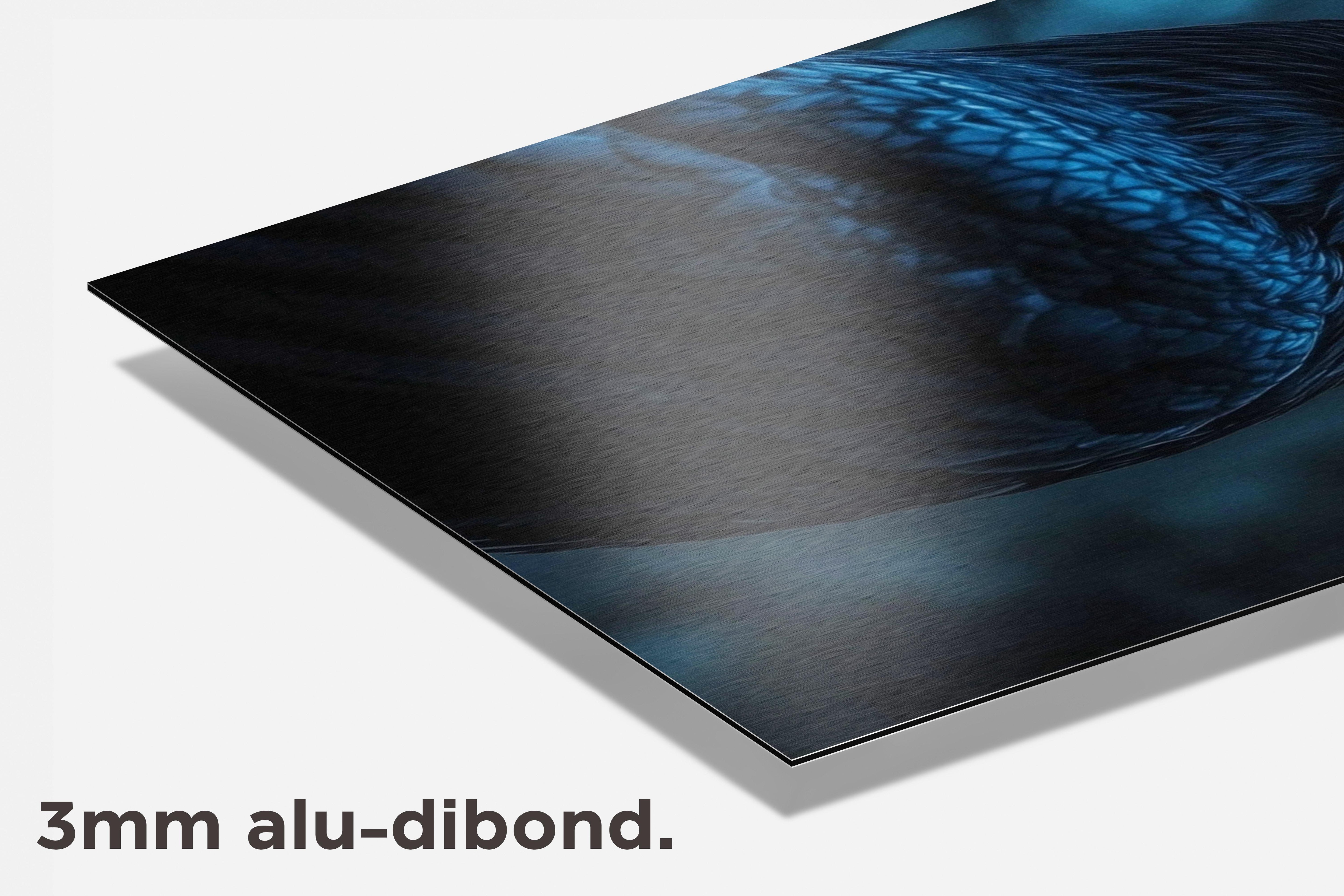 Raaf dibond detail