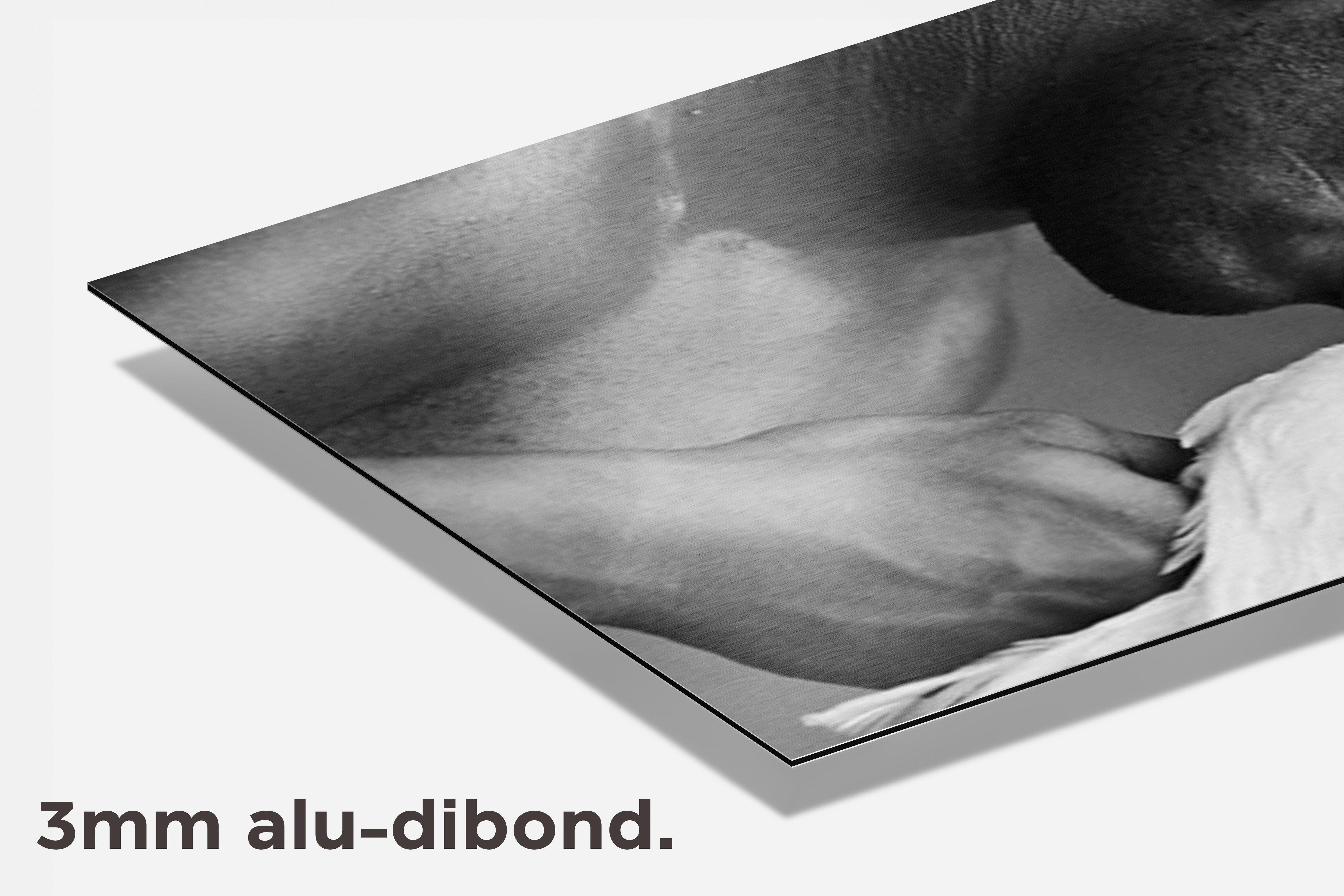 Mike Tyson Duif dibond detail