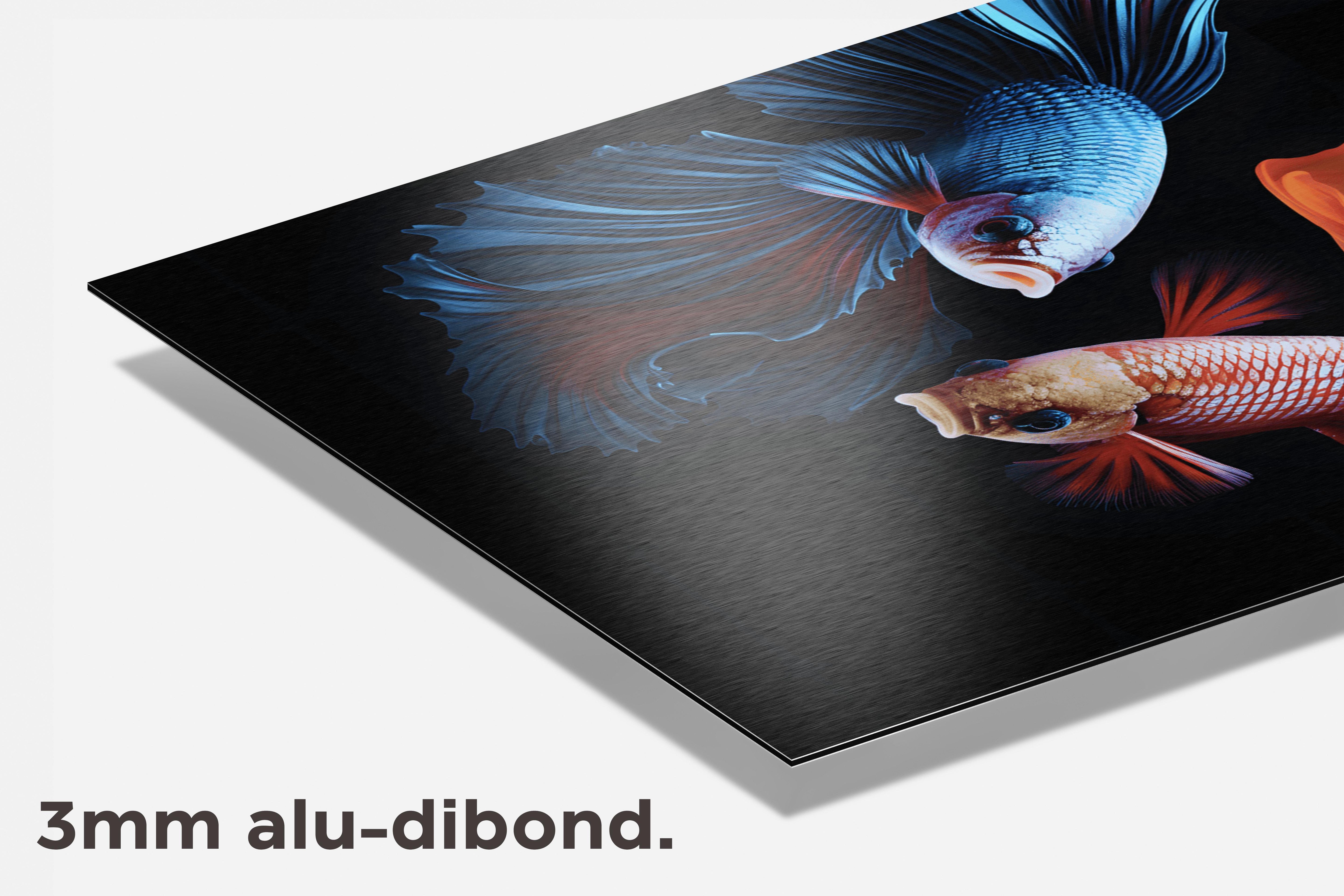 Bettas Rood Blauw dibond detail