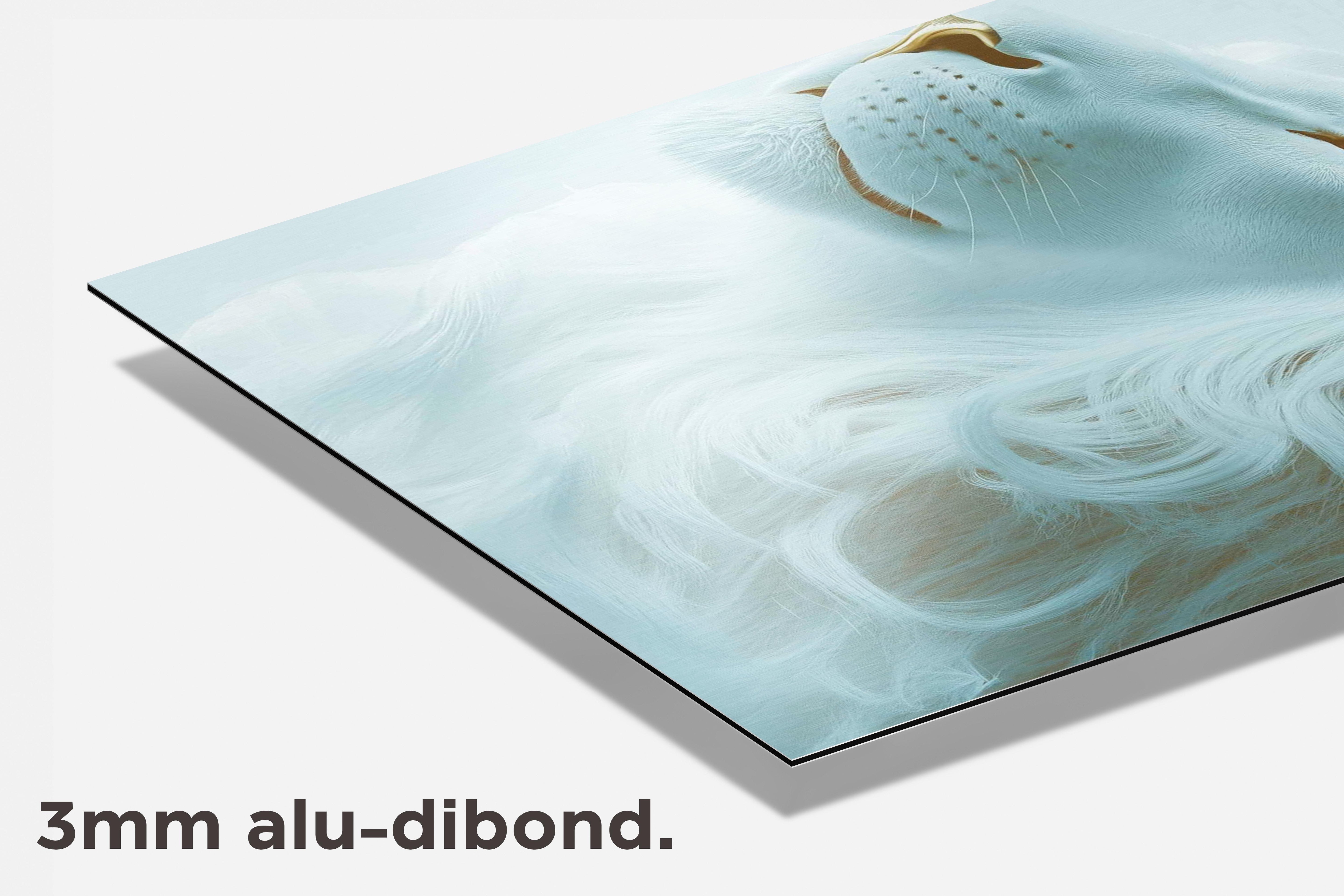 Witte Leeuw dibond detail