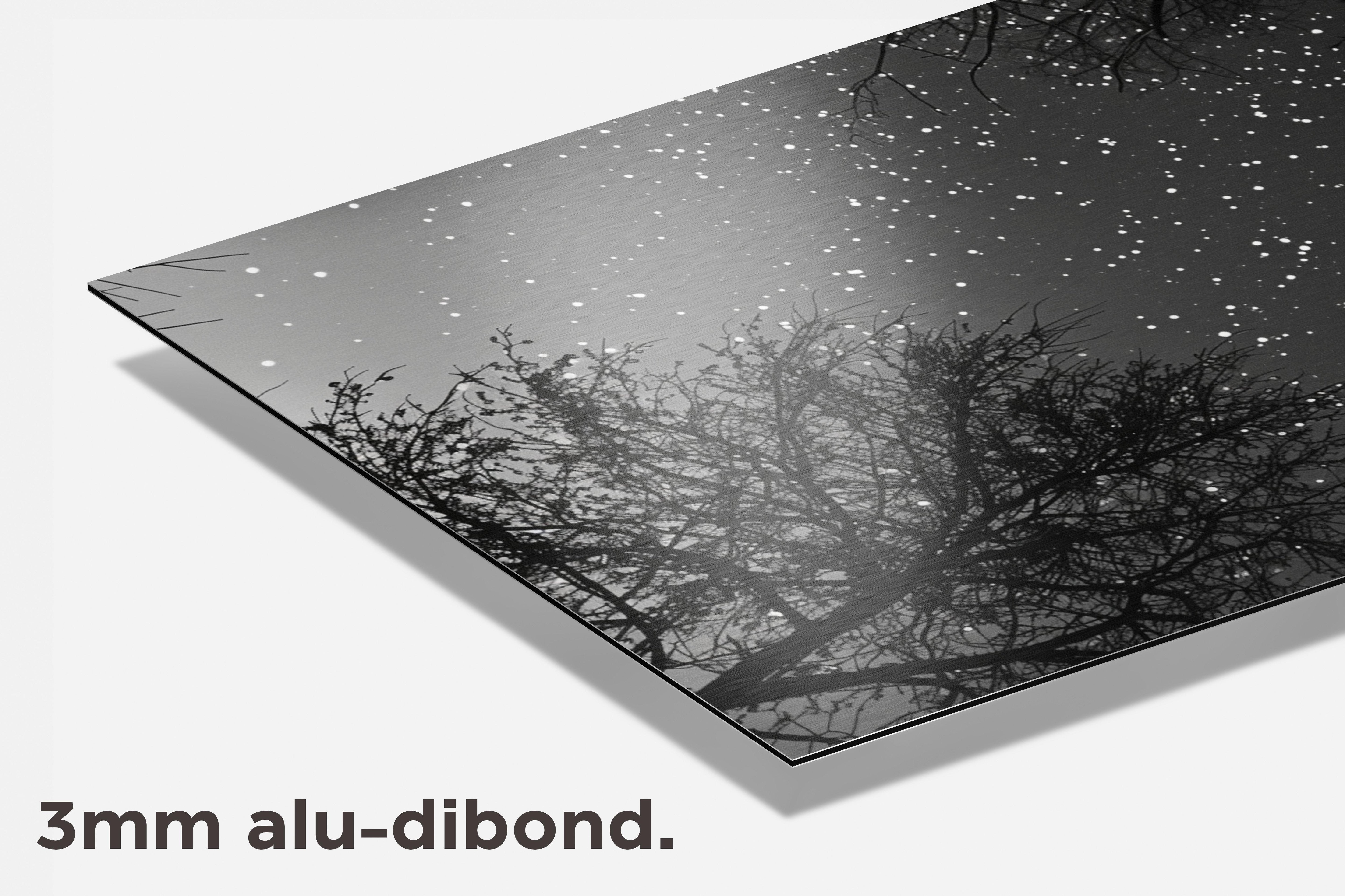 Nachthemel dibond detail