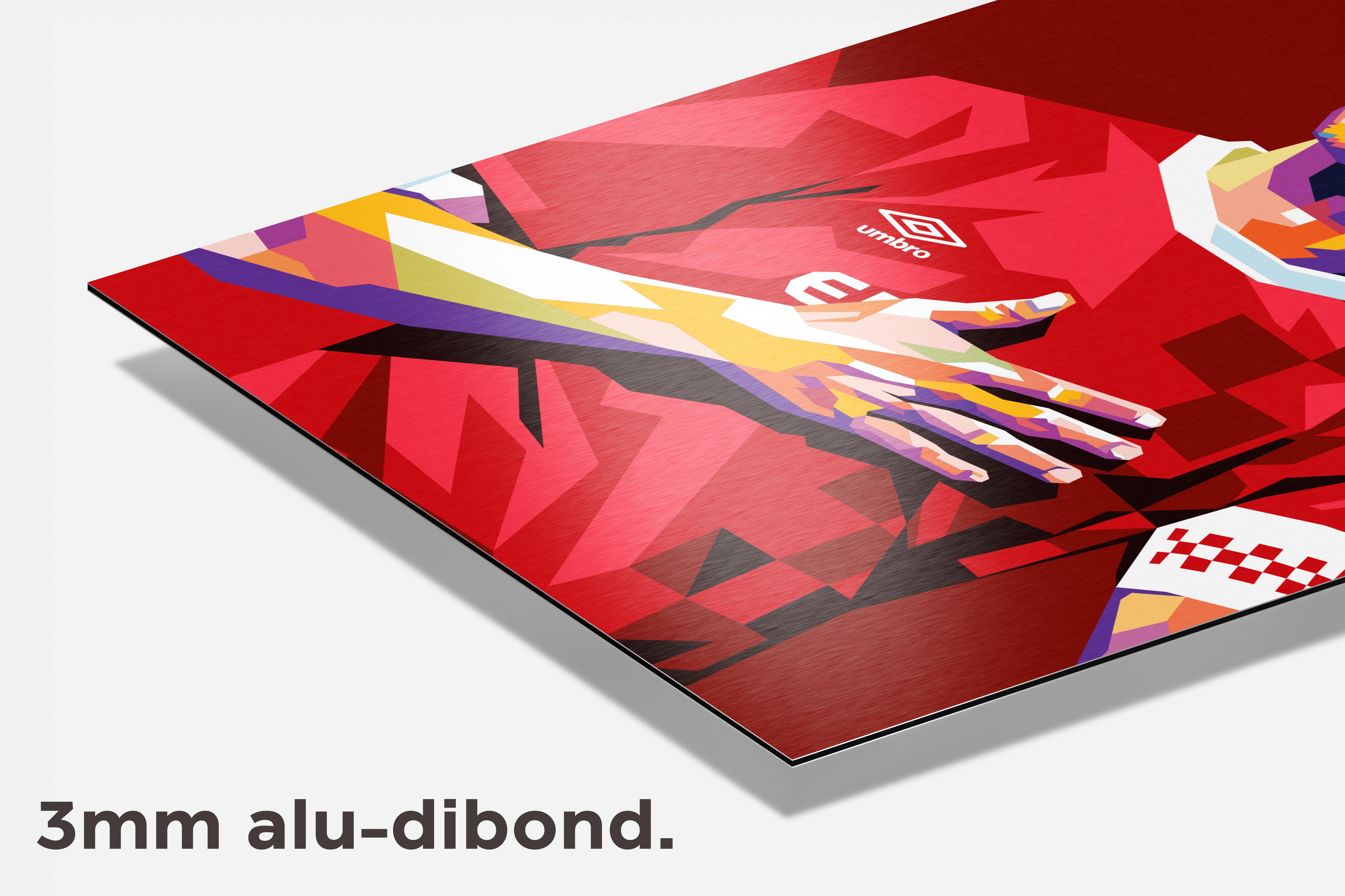 Luuk de Jong dibond detail