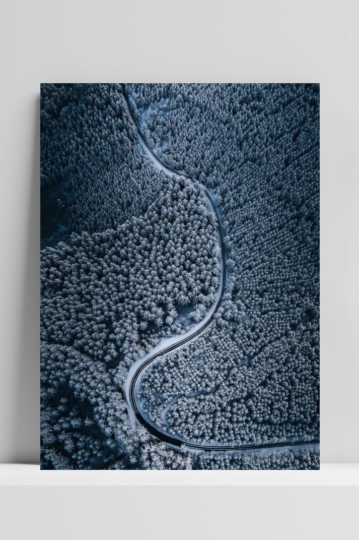 Bosweg op 3mm aluminium dibond