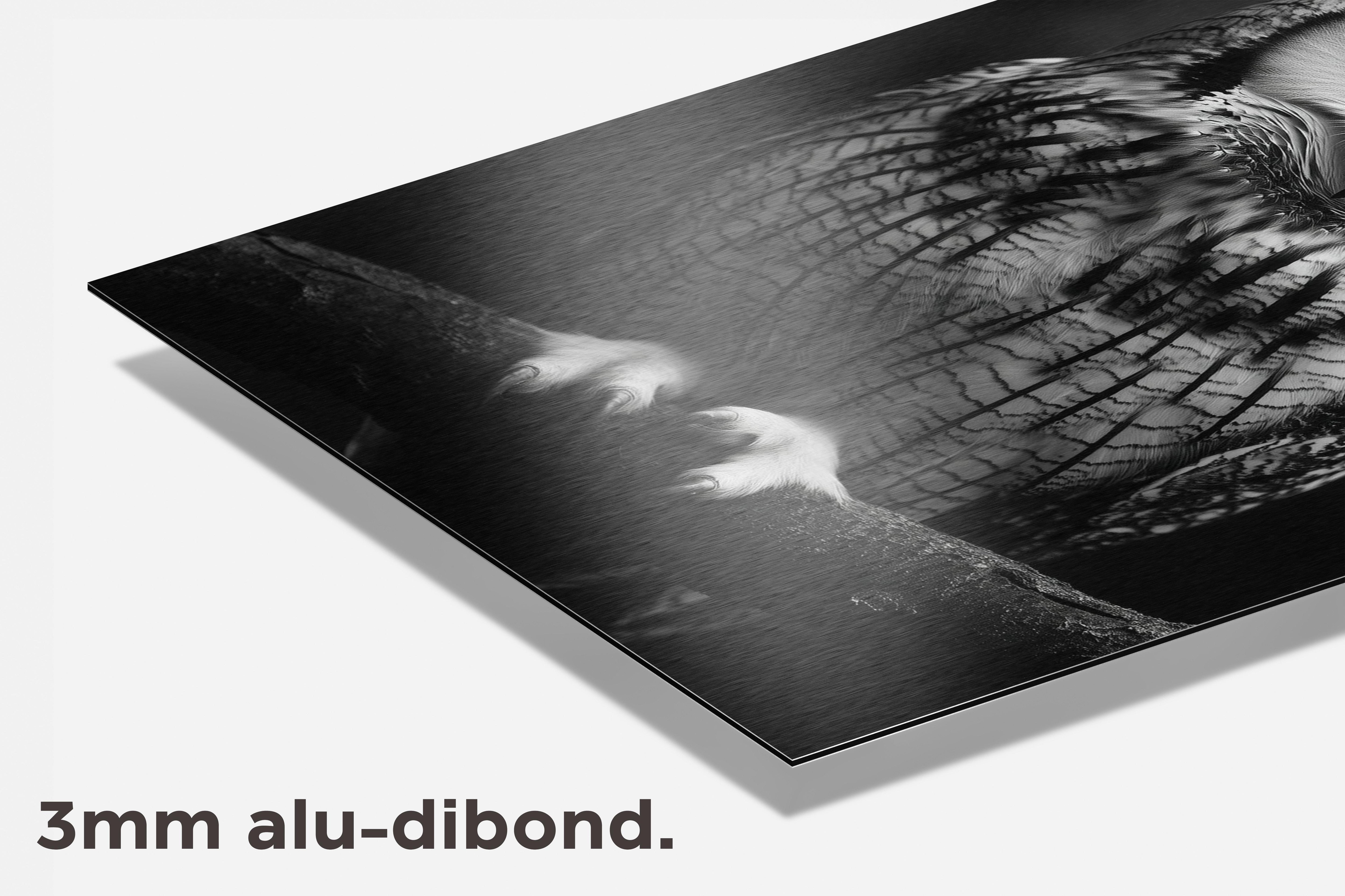 Uil dibond detail