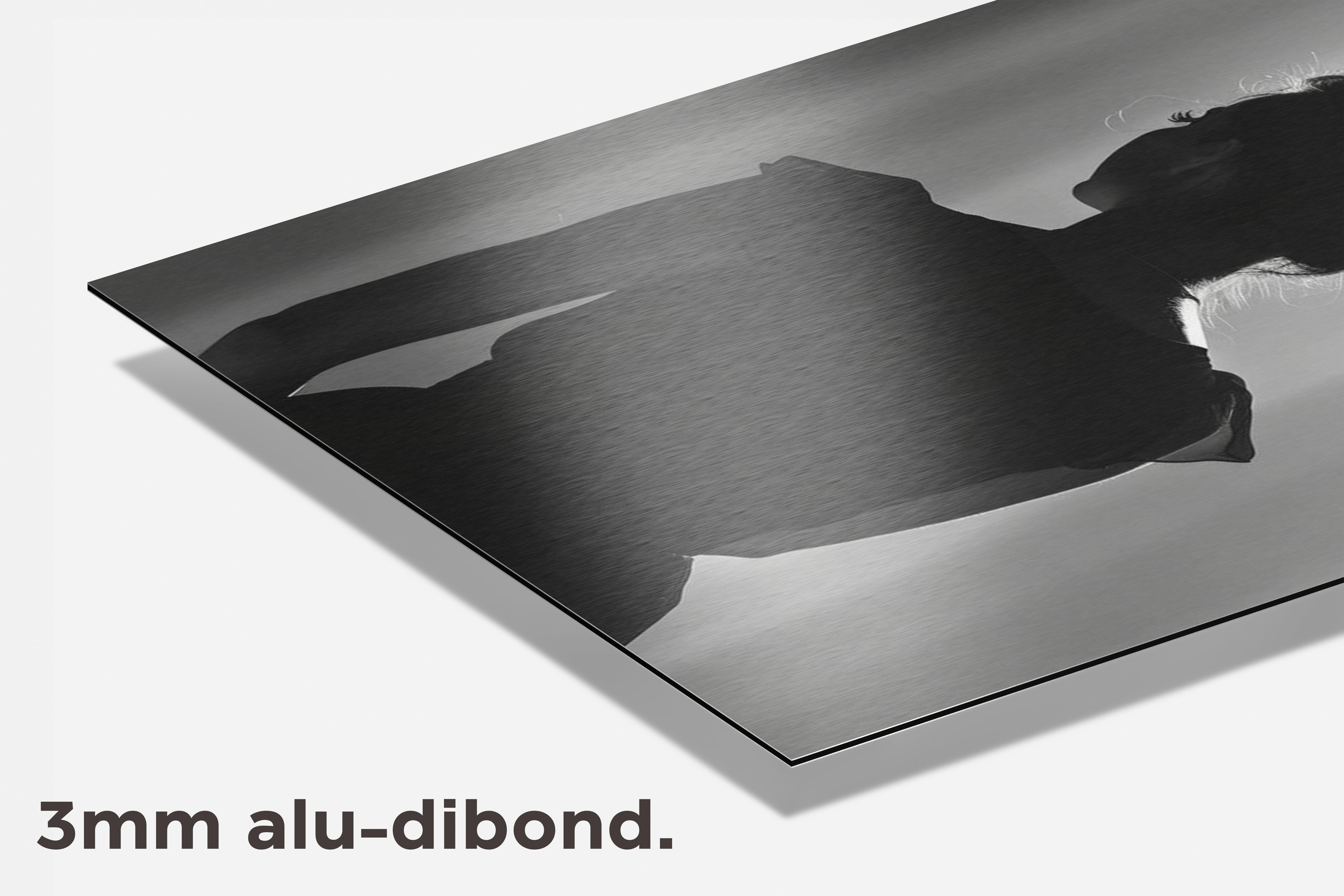 Vrouw Rug dibond detail