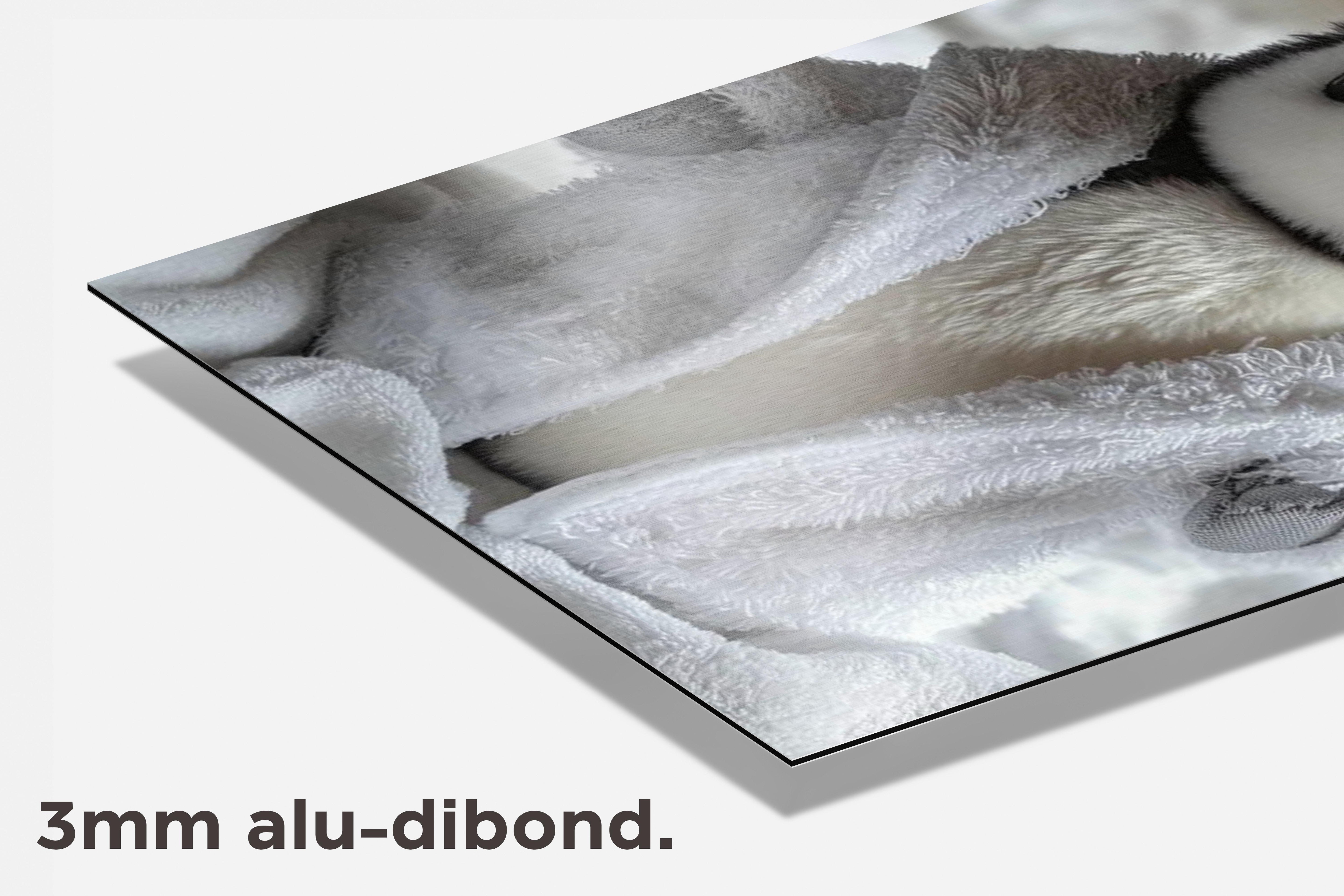 Pinguïn dibond detail