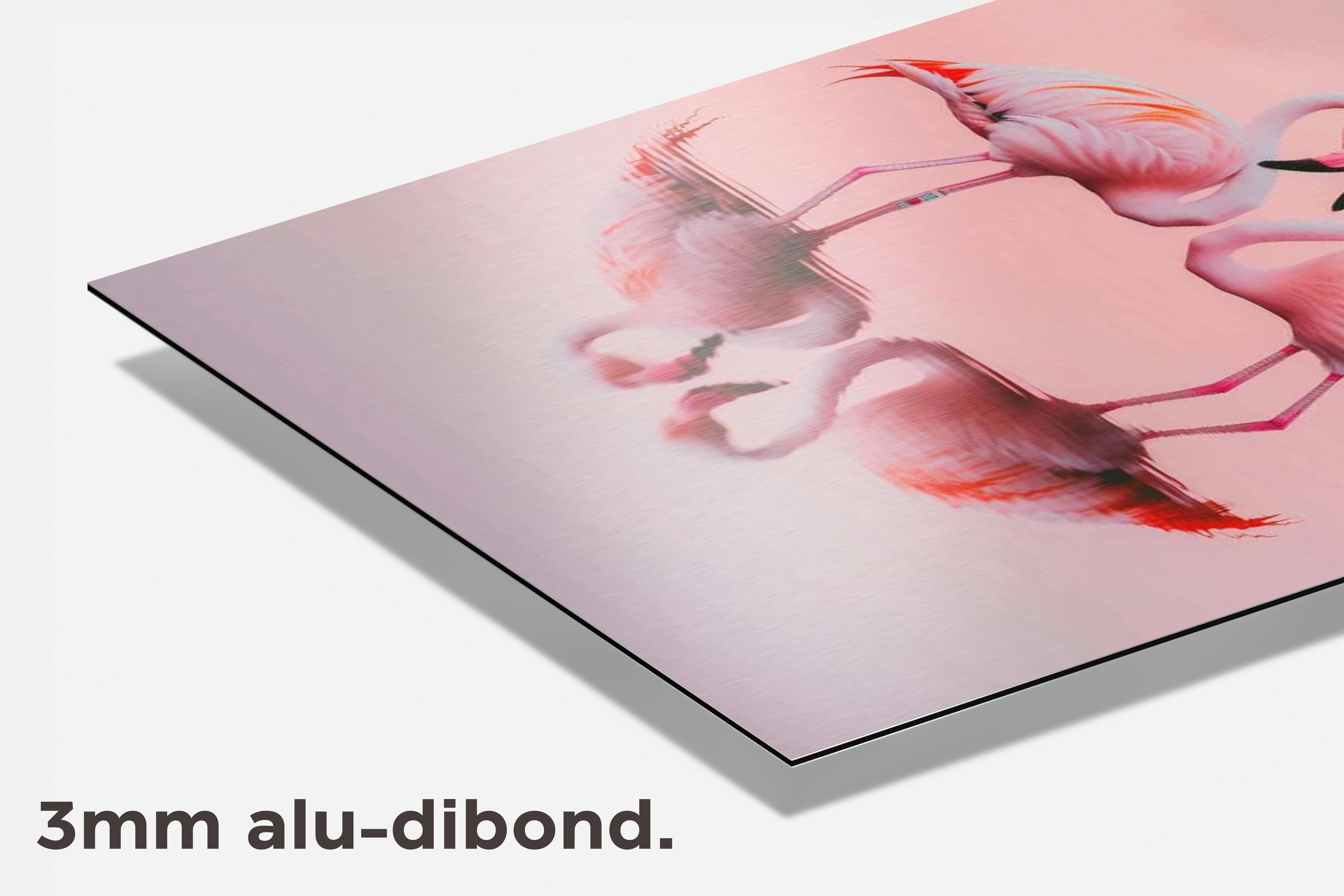 Roze Flamingo's dibond detail