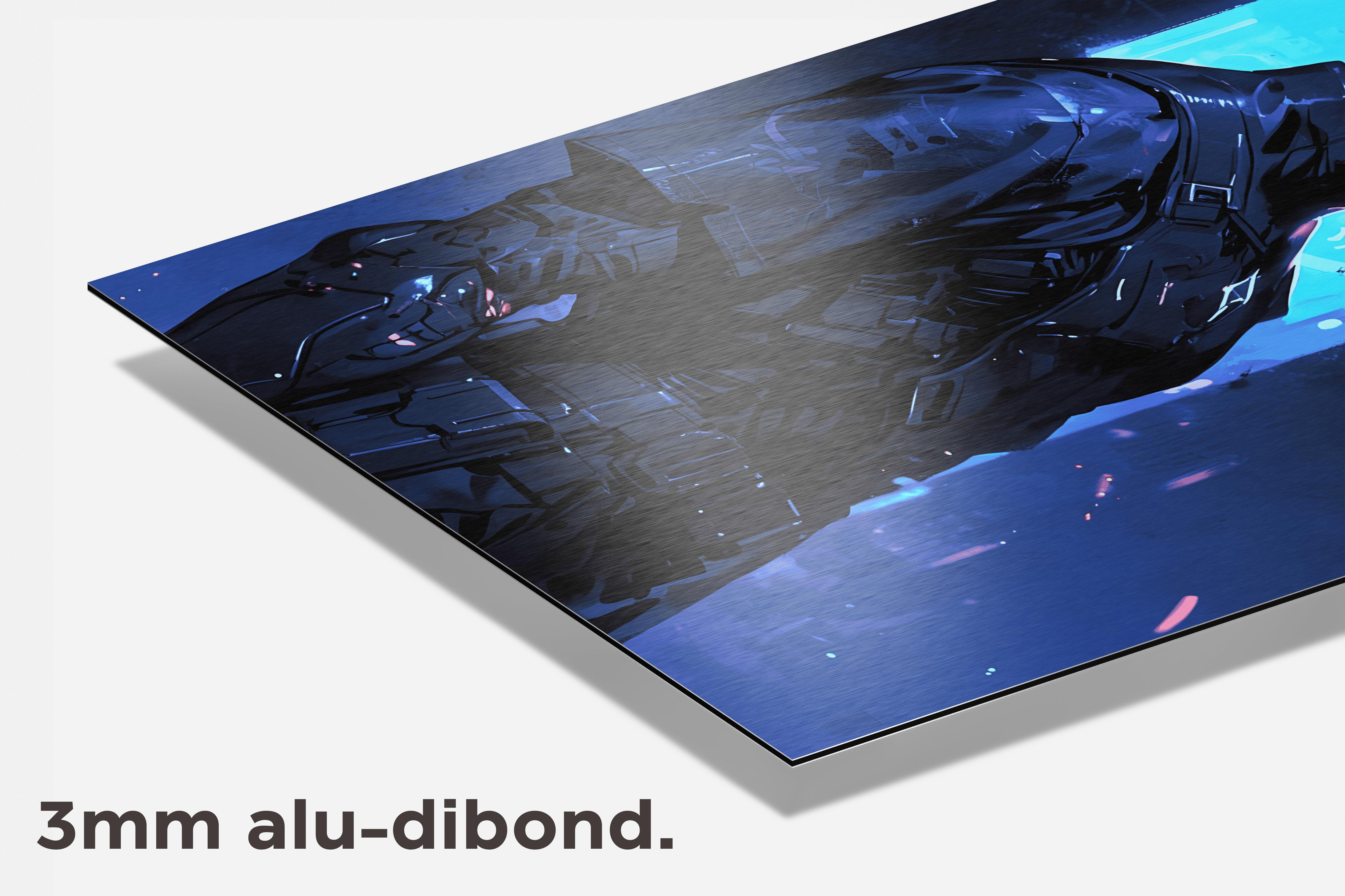 Biomech dibond detail