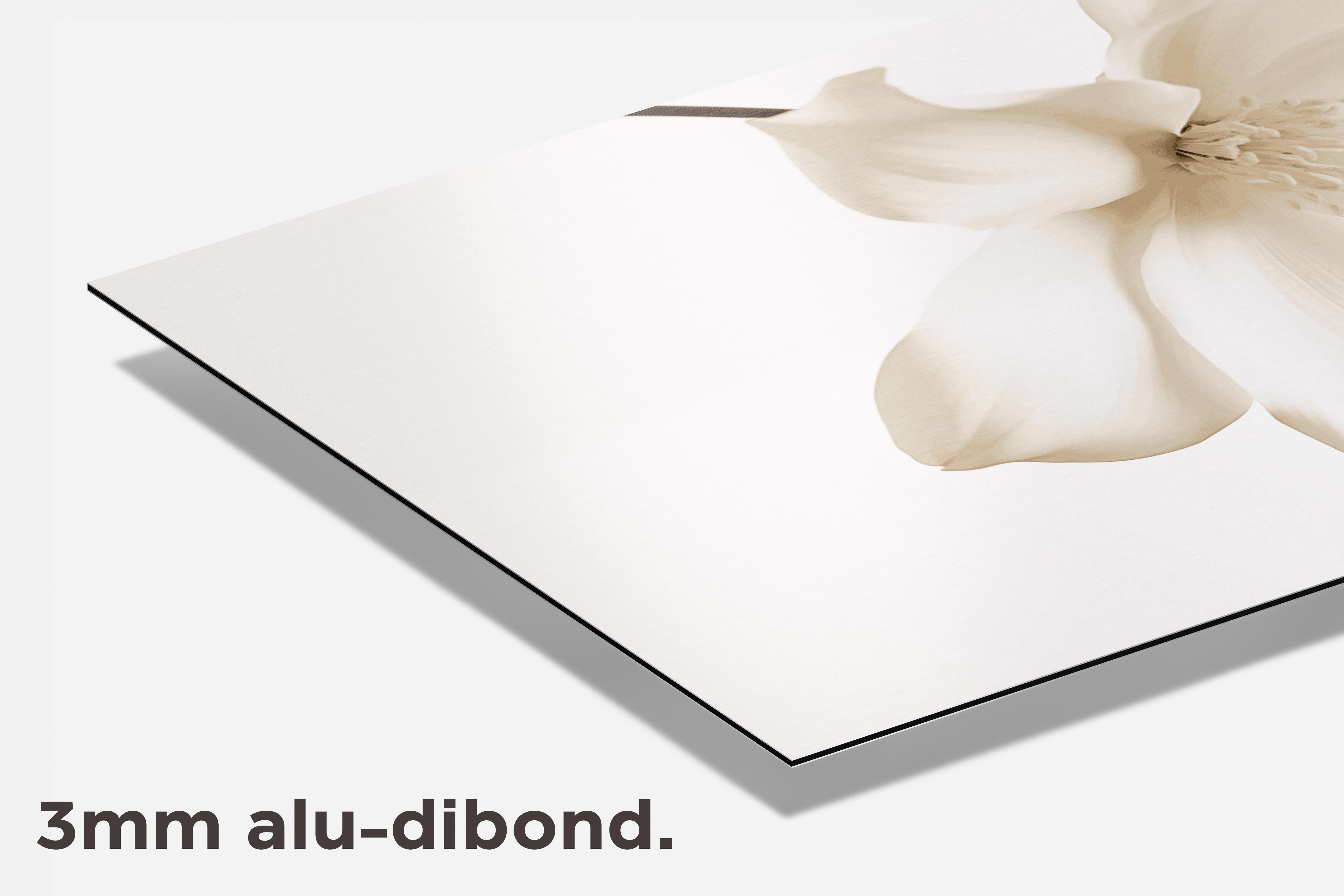 Witte Lotus dibond detail