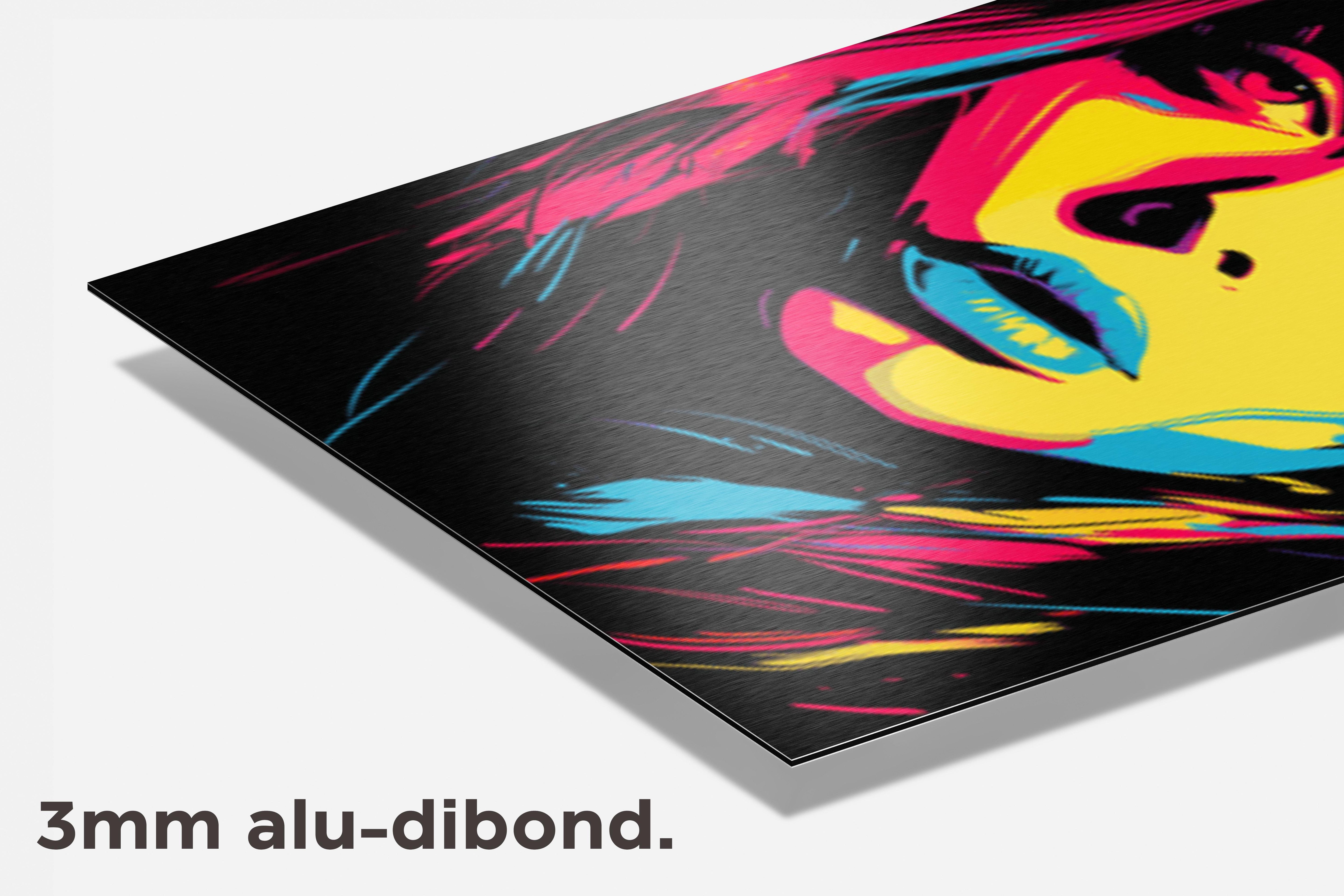 Vrouw in Kleuren dibond detail