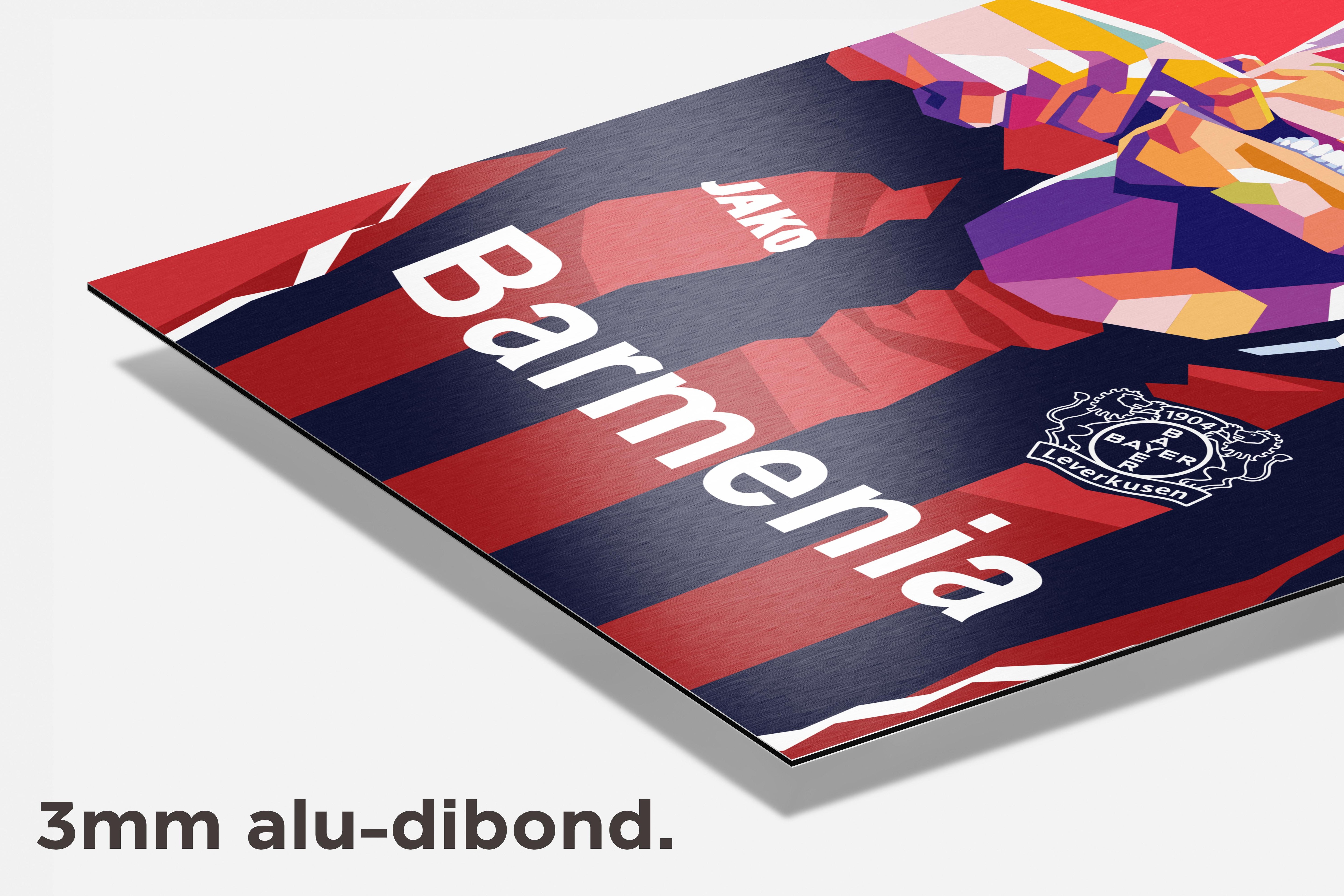 Florian Wirtz dibond detail