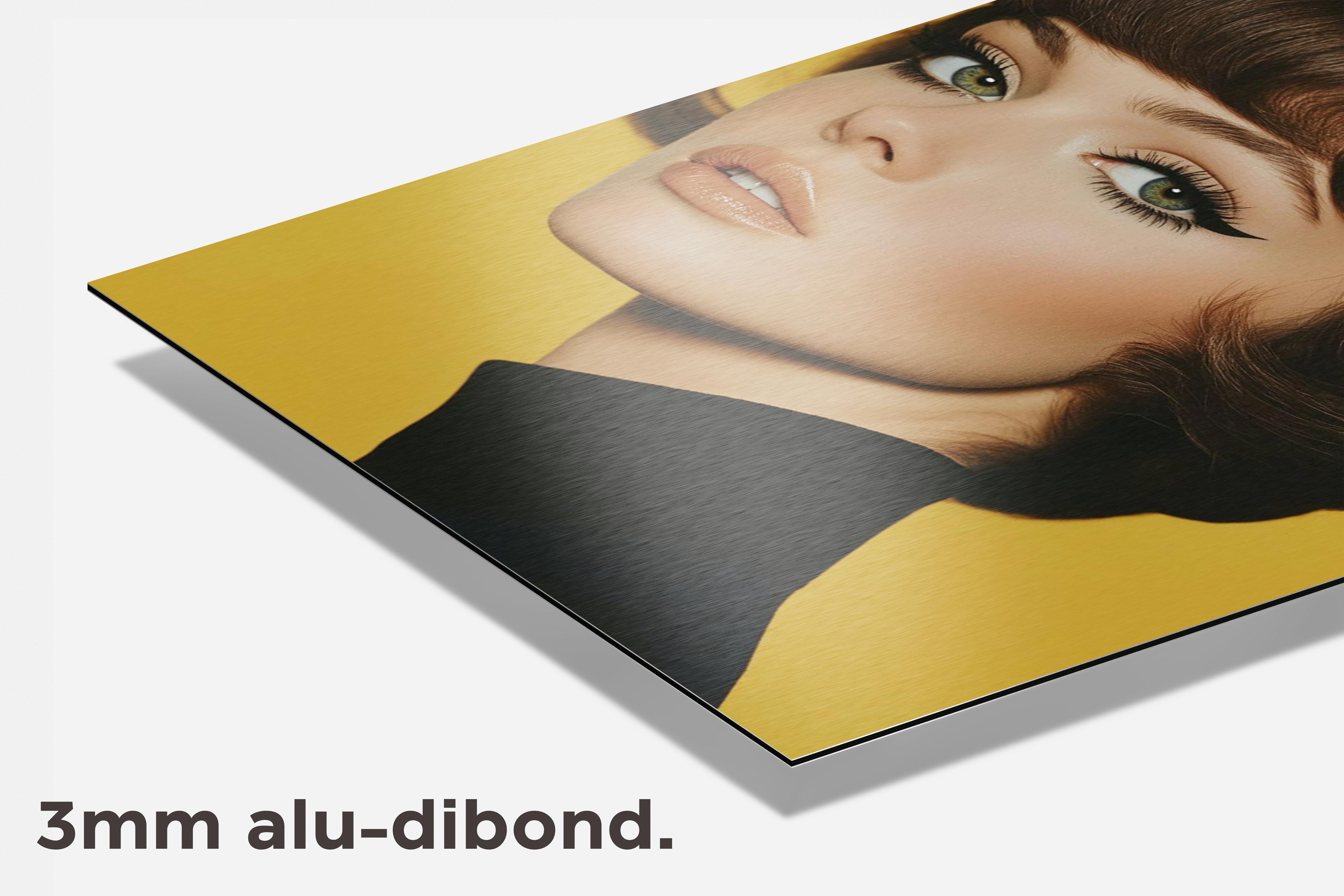 Gele Pet Mode dibond detail