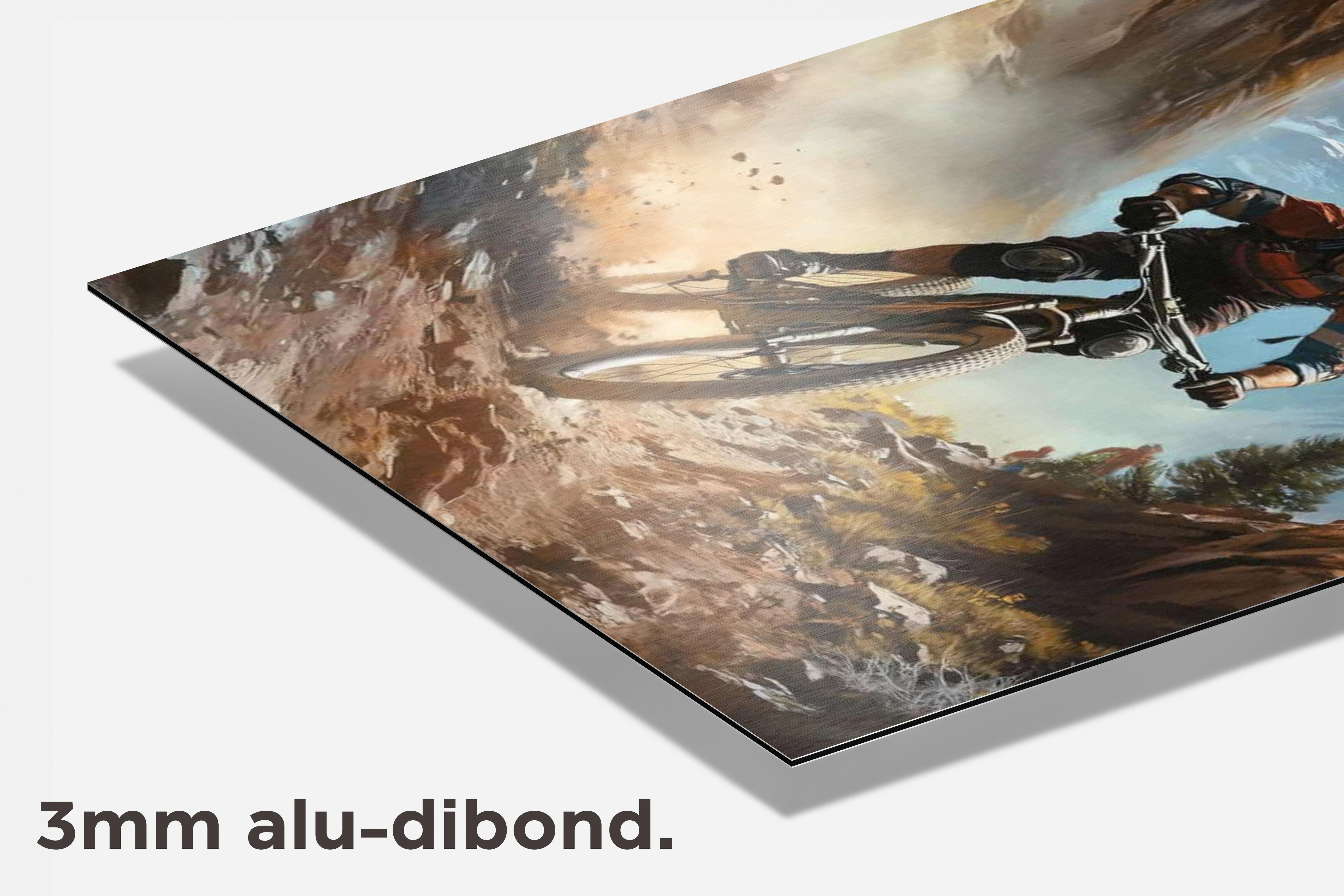 Mountainbike dibond detail