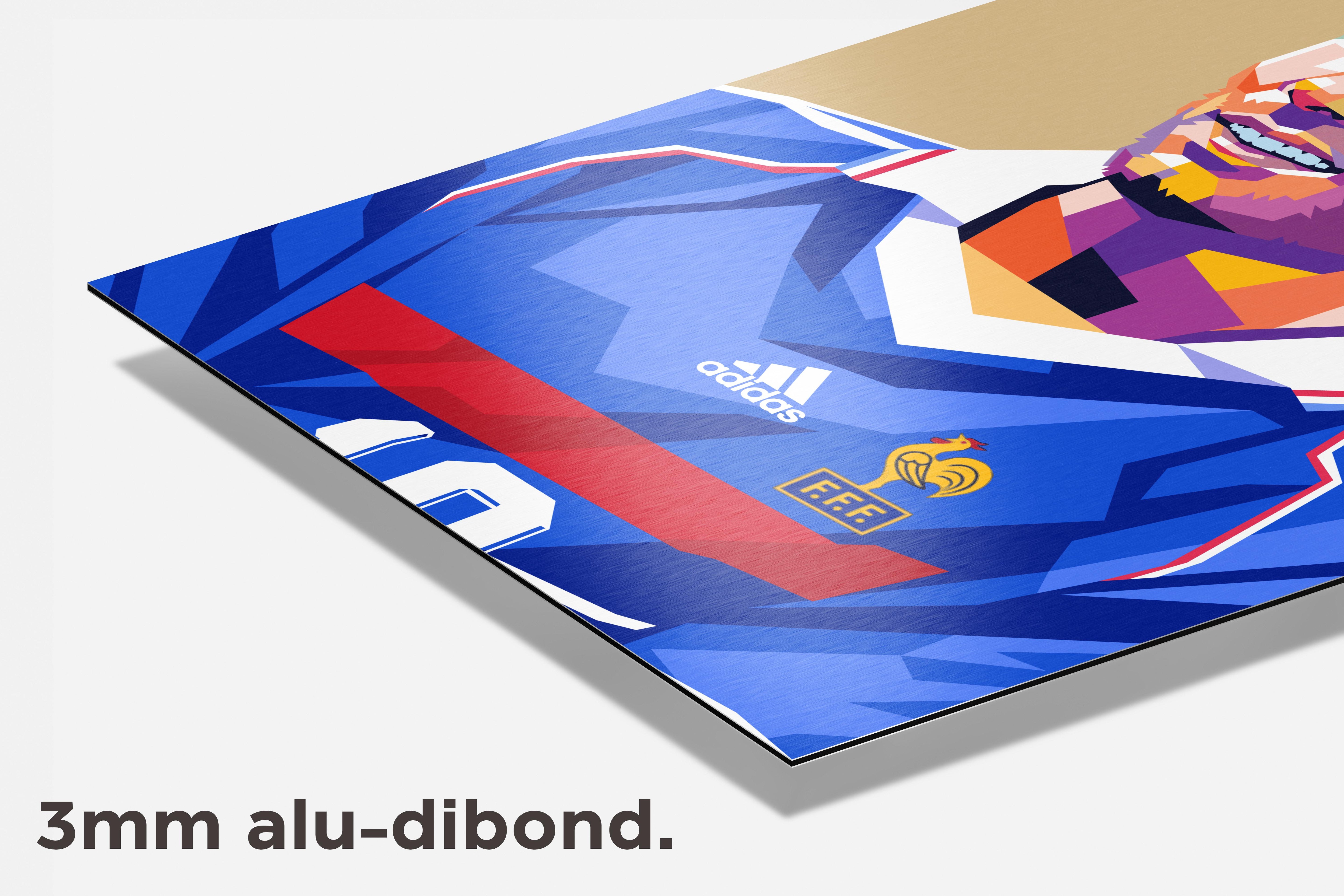 Zidane dibond detail