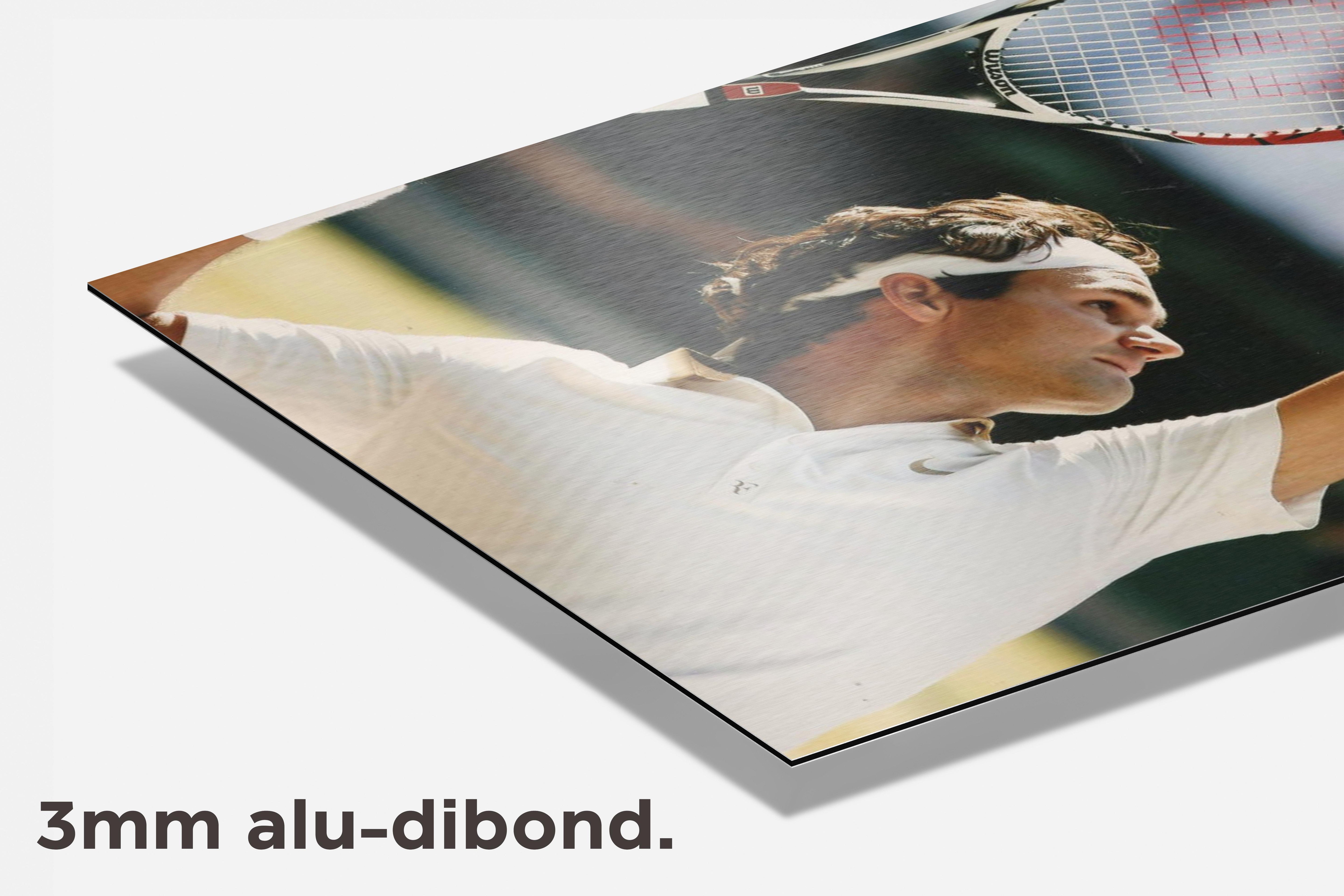 Roger Federer Smash dibond detail