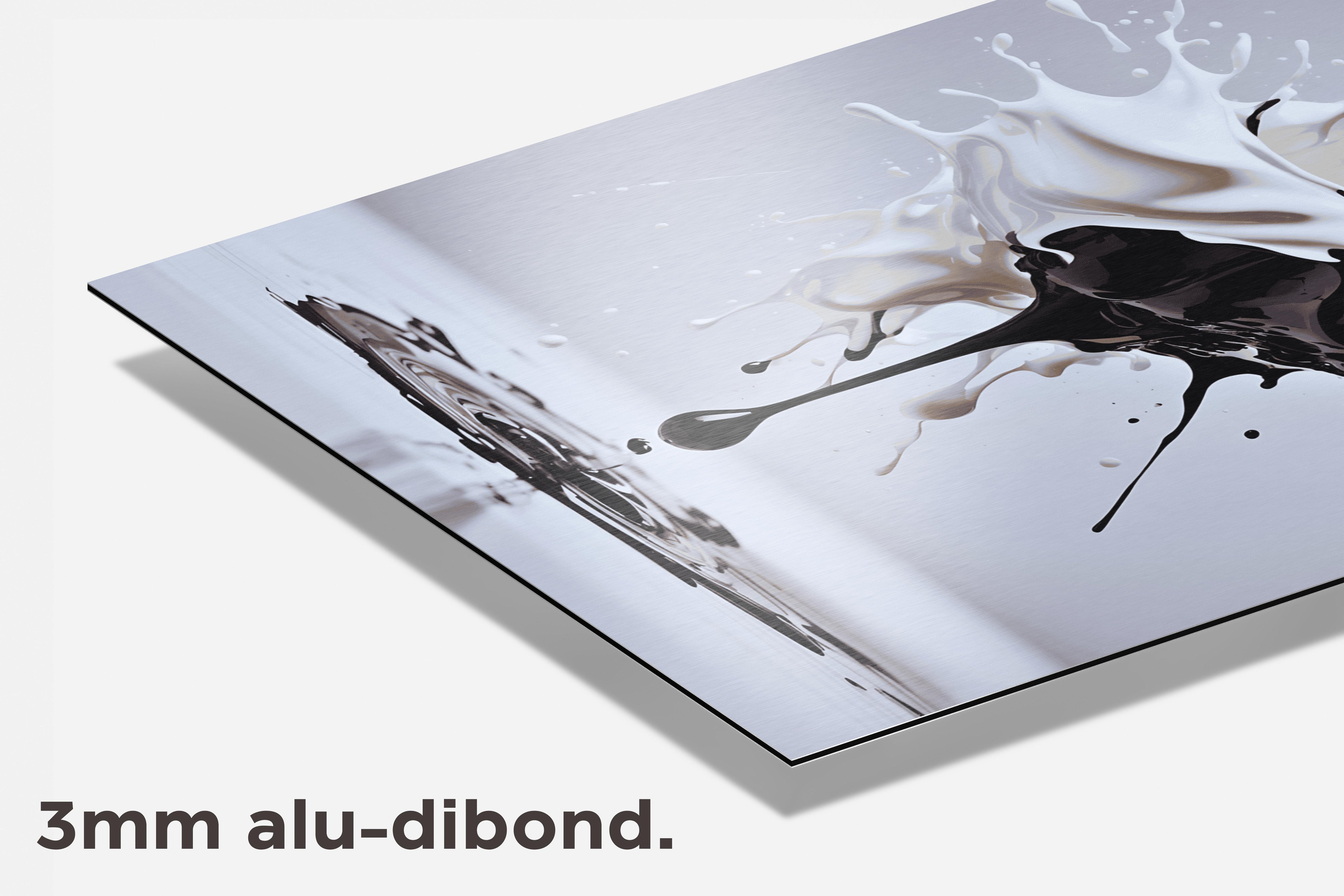 Zwart Wit Verf dibond detail