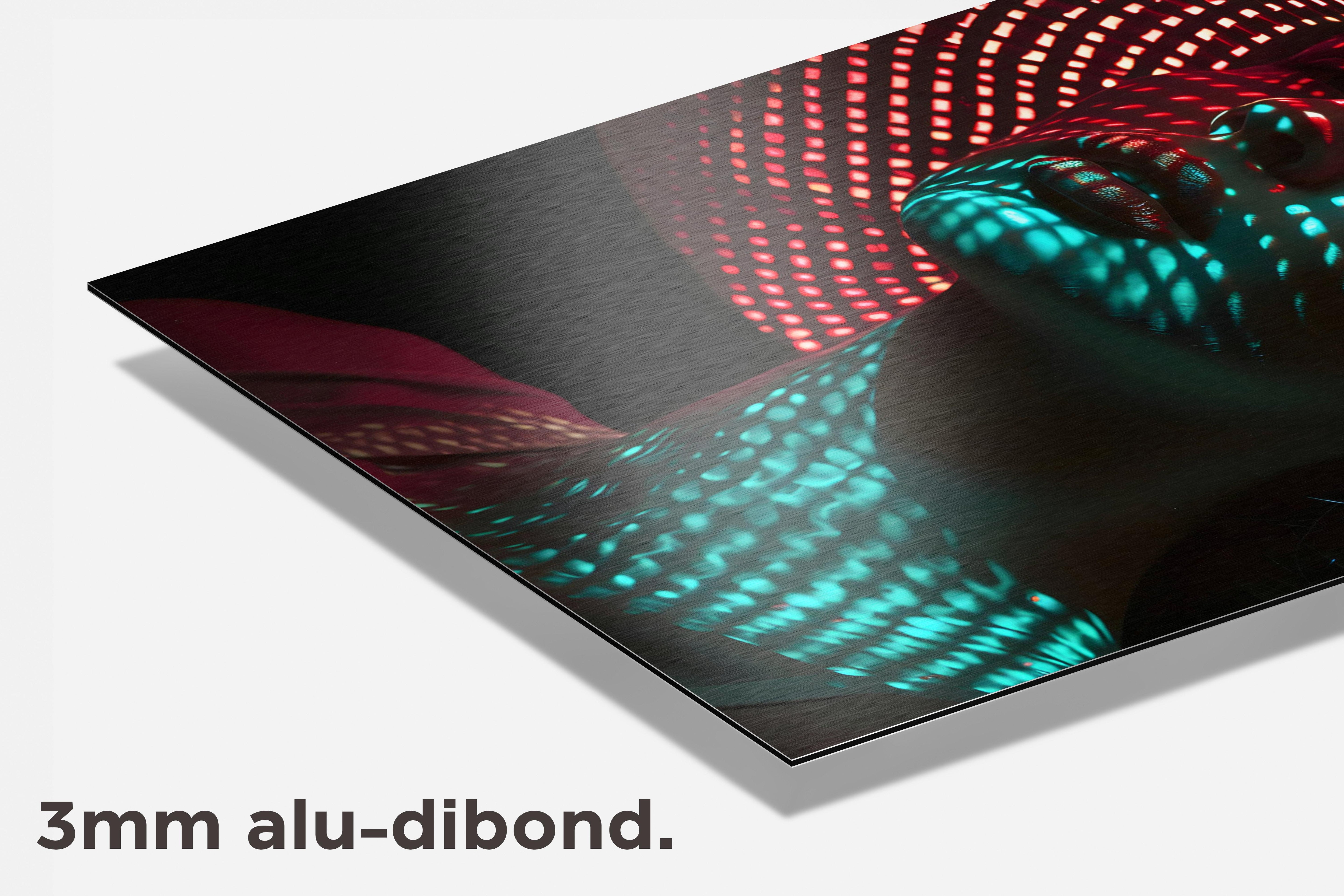 Schaduw Vrouw dibond detail
