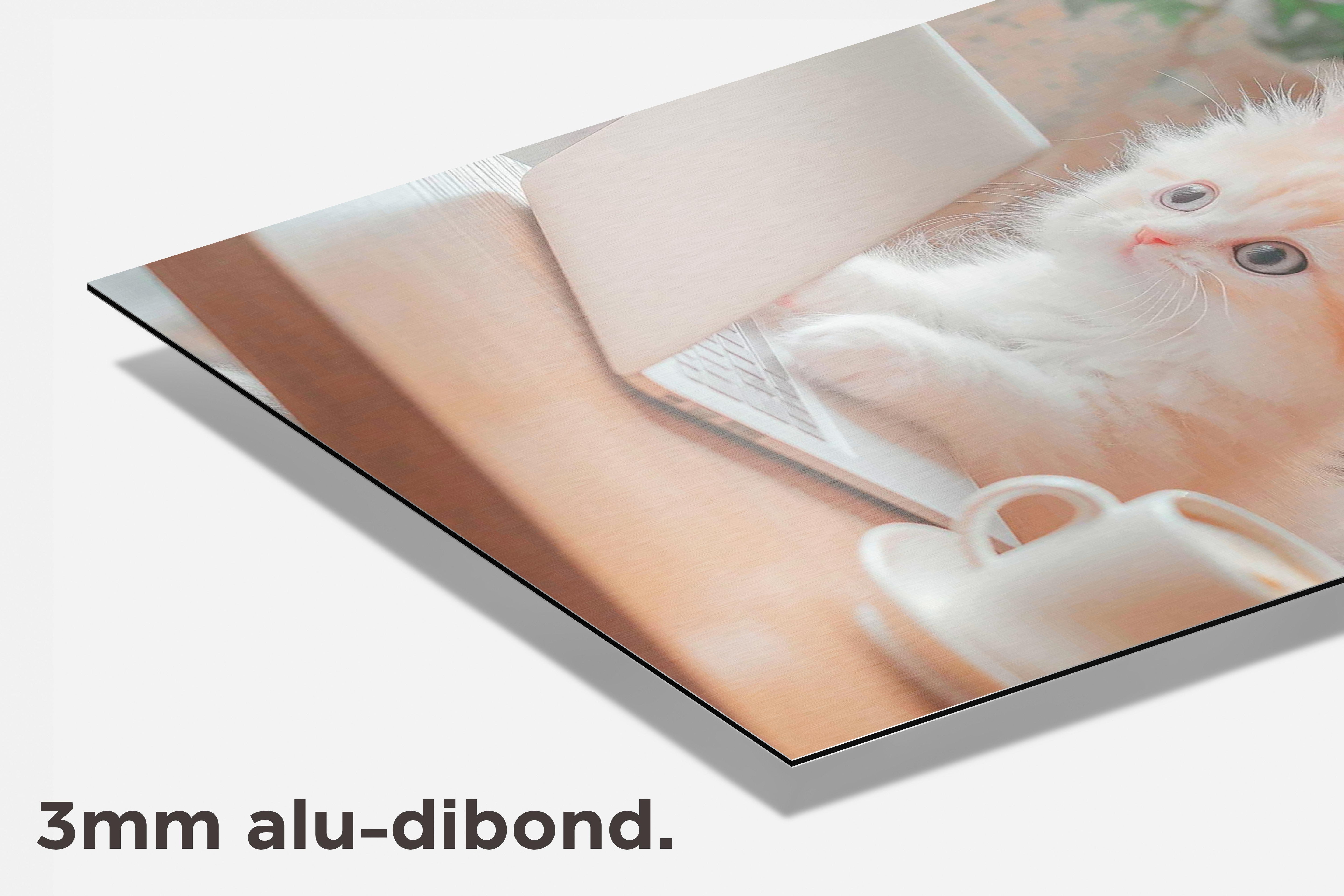 Kat Werkt dibond detail