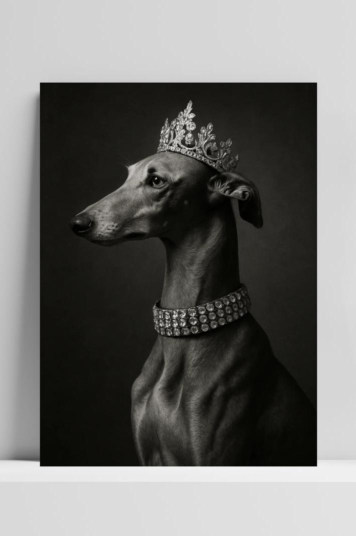 Greyhound Dog Crown B&W op 3mm aluminium dibond