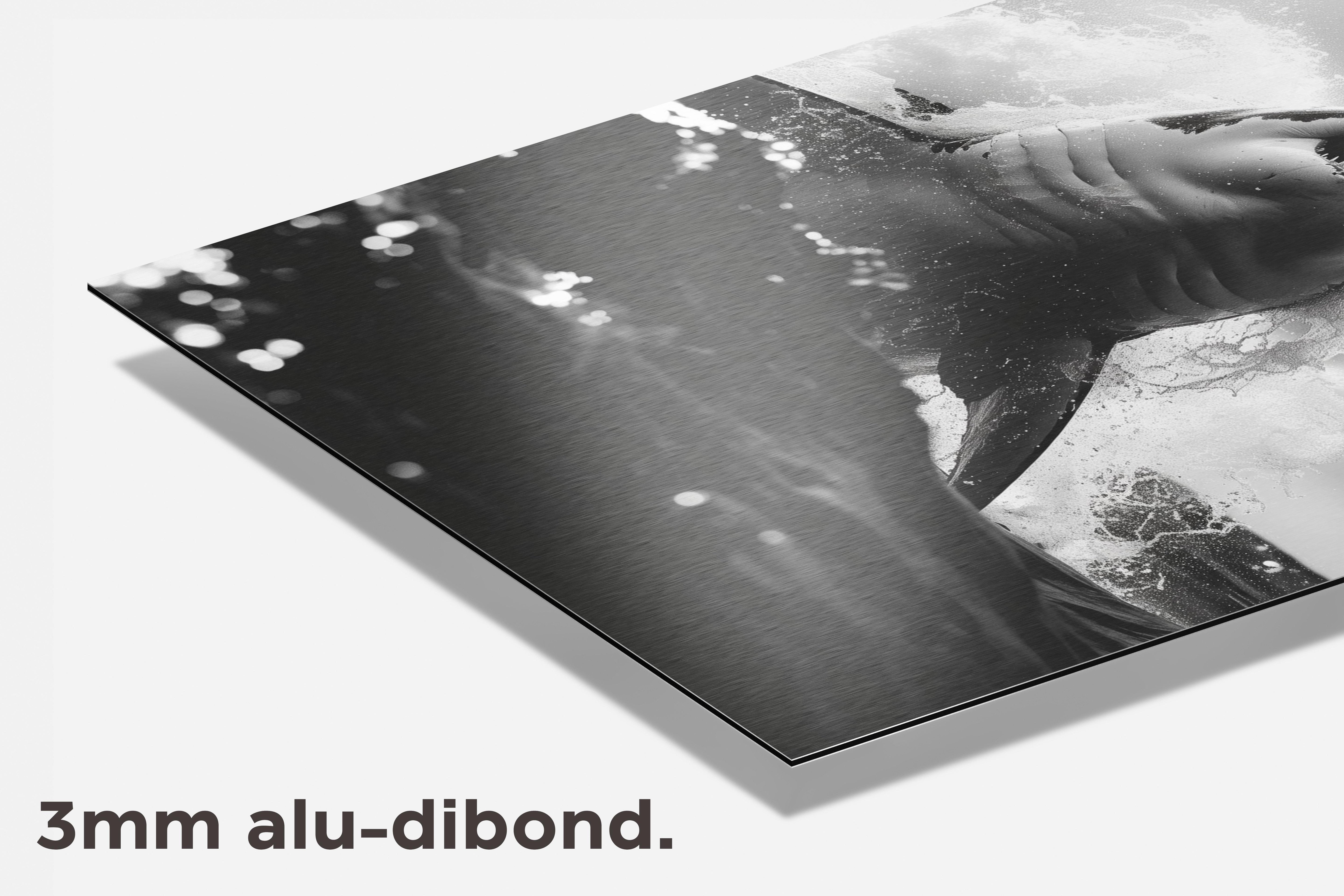 Haai Zwart Wit dibond detail