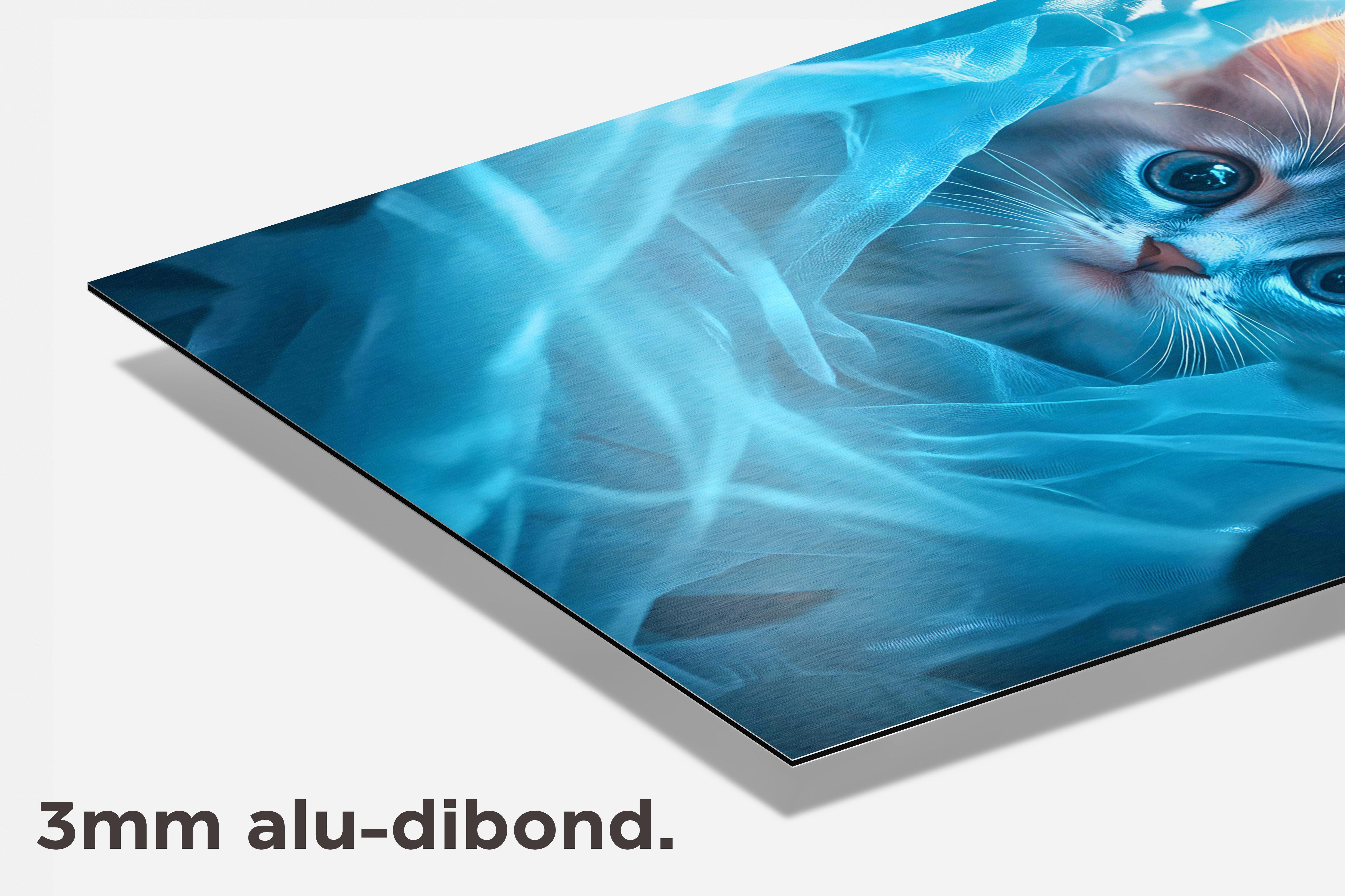Kat dibond detail