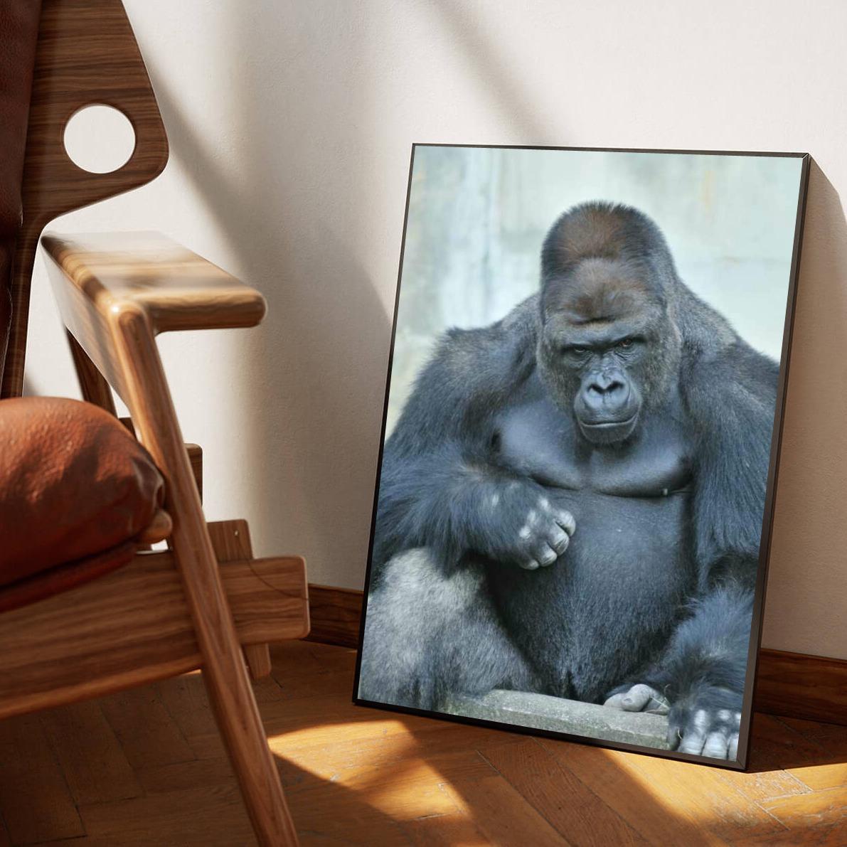 Gorilla poster sfeerbeeld 1