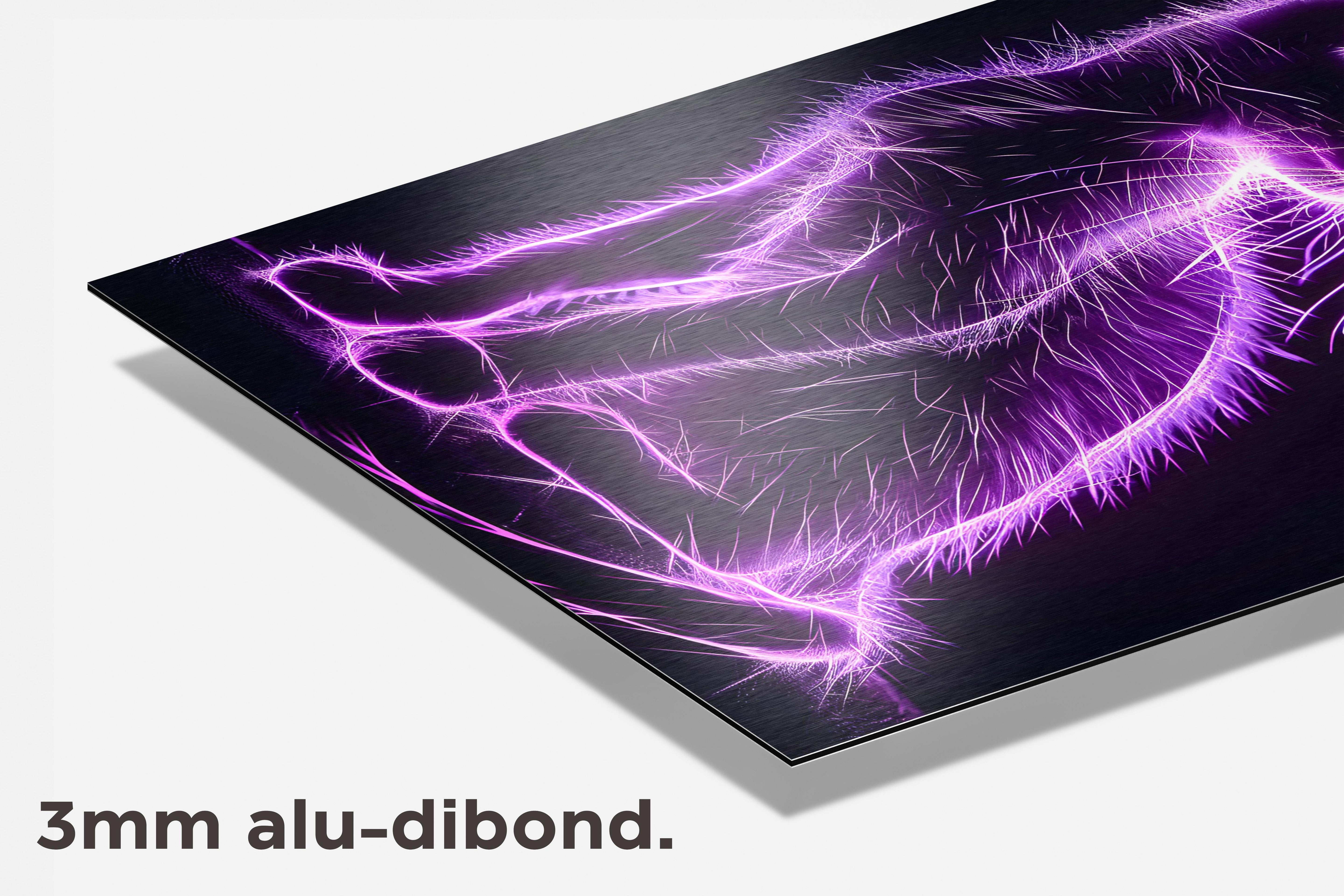 Neon Kat dibond detail