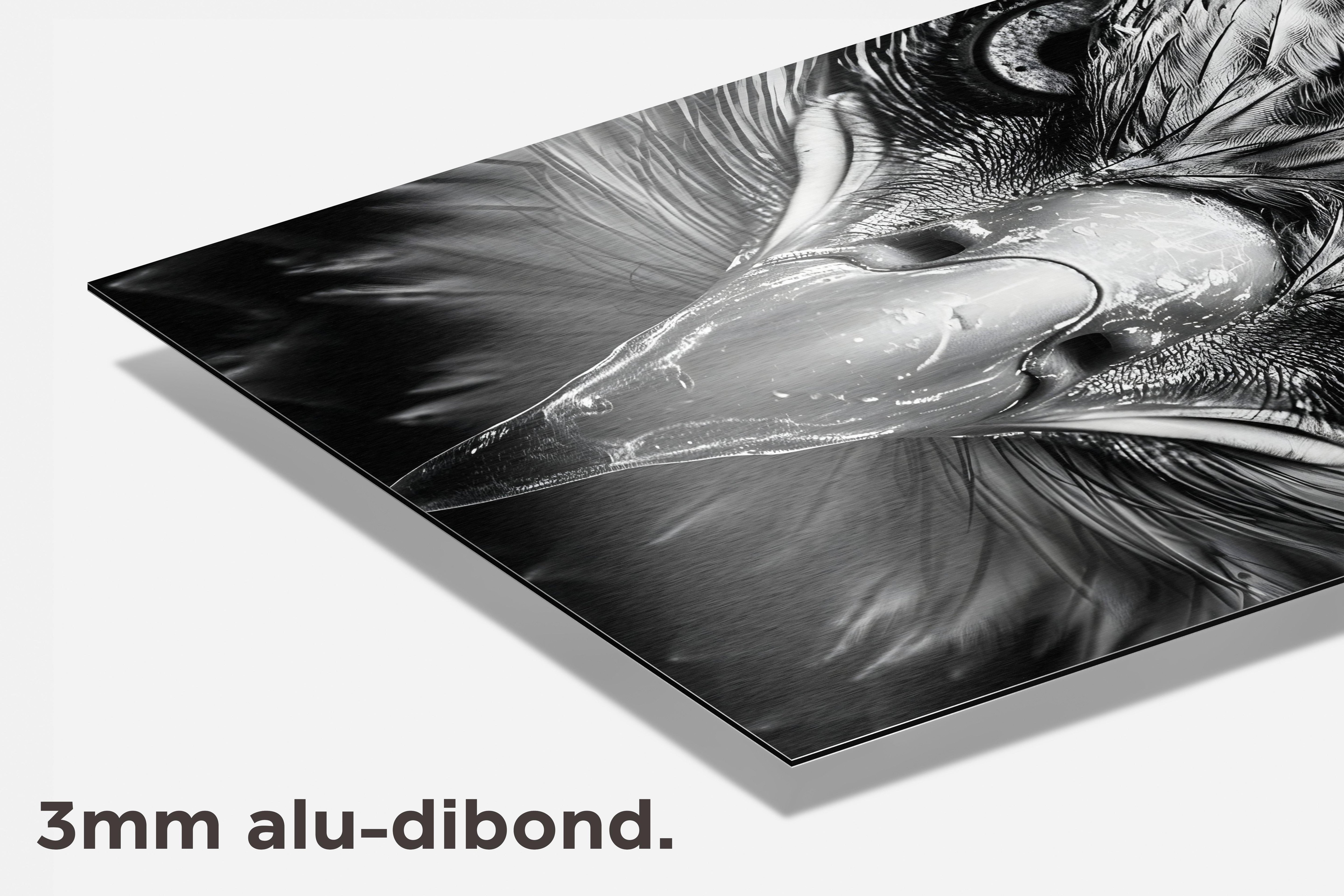 Adelaar Blik dibond detail