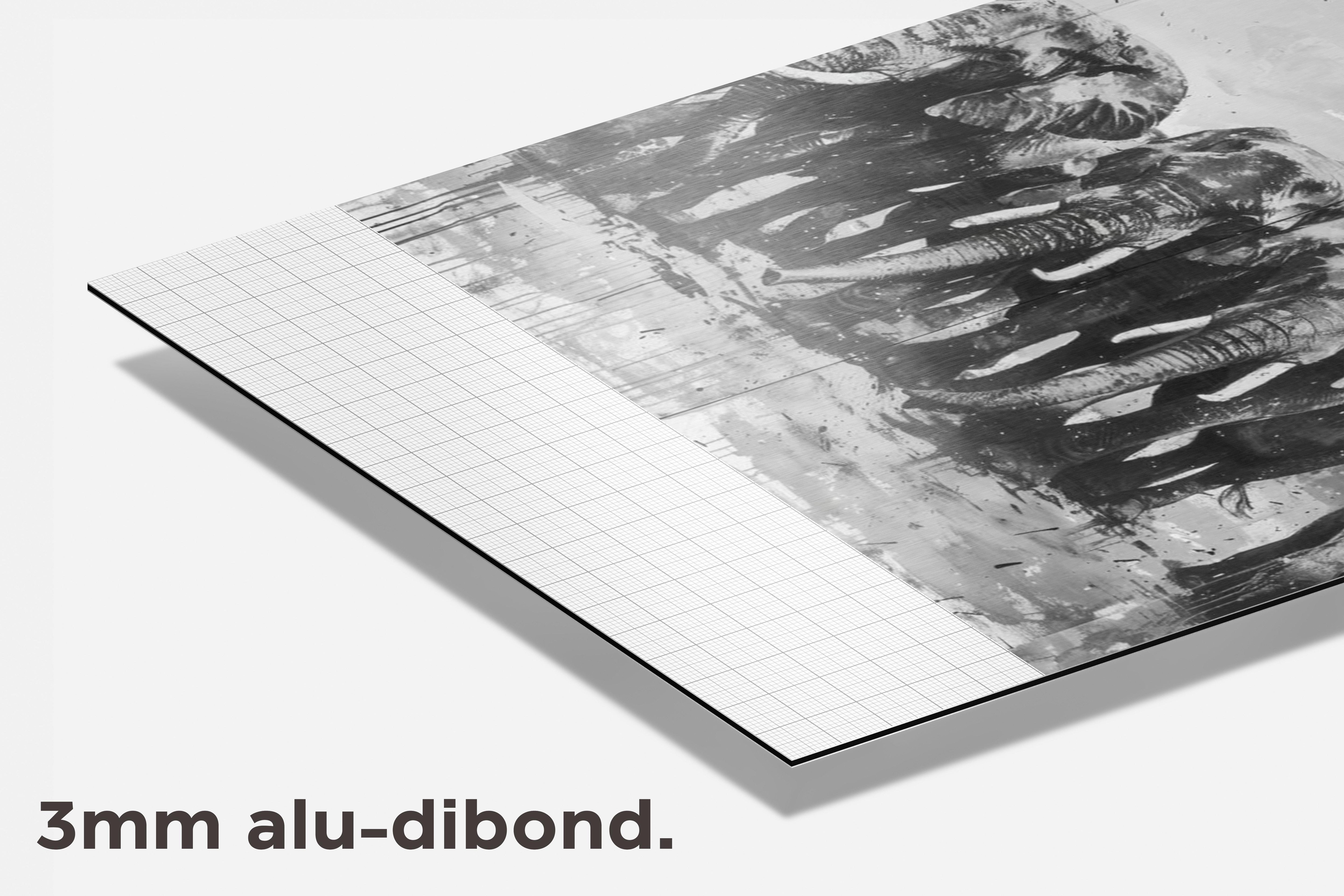 Olifanten dibond detail
