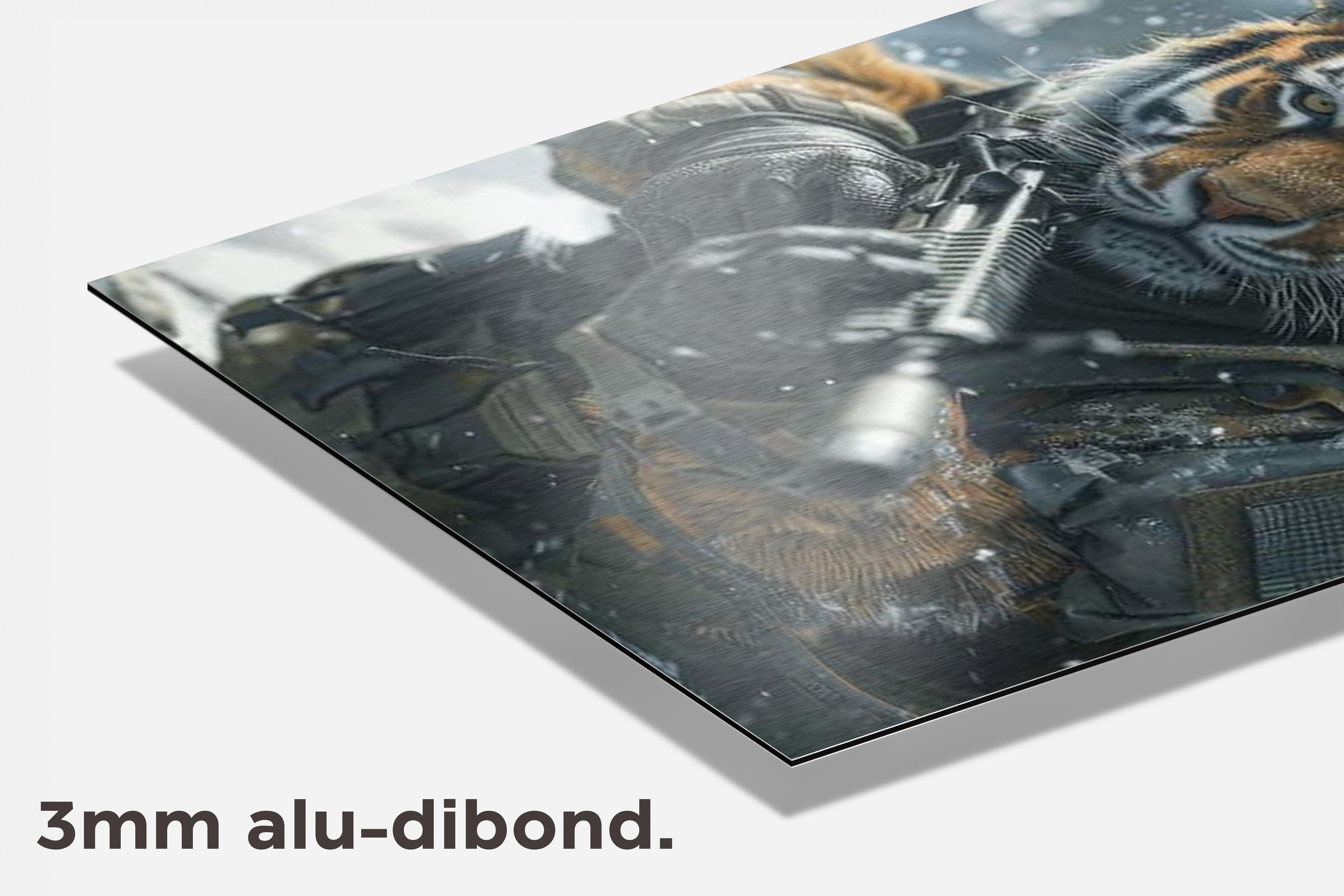 Tijger Soldaat dibond detail