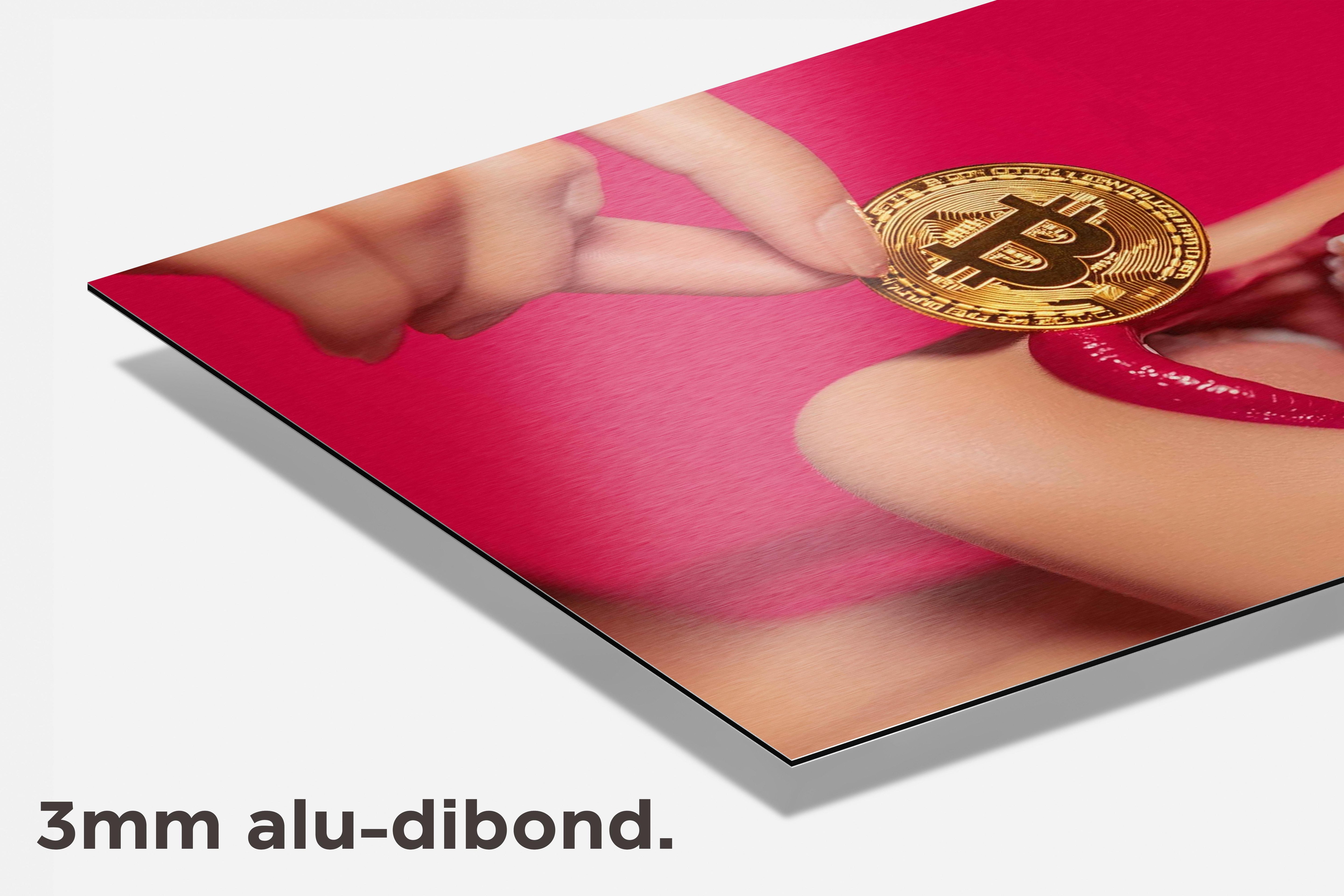 Bitcoin Dame dibond detail
