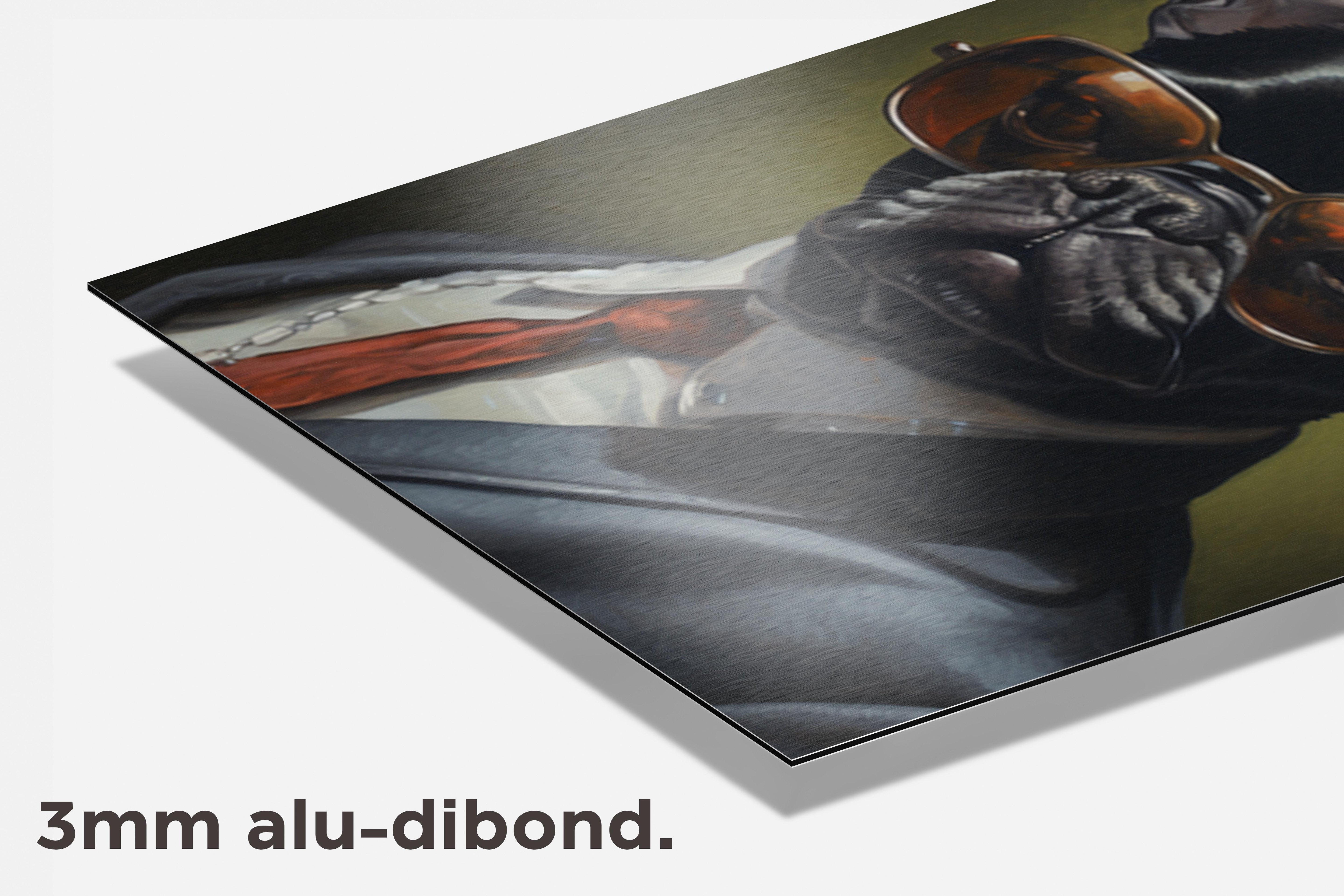 Frenchie dibond detail