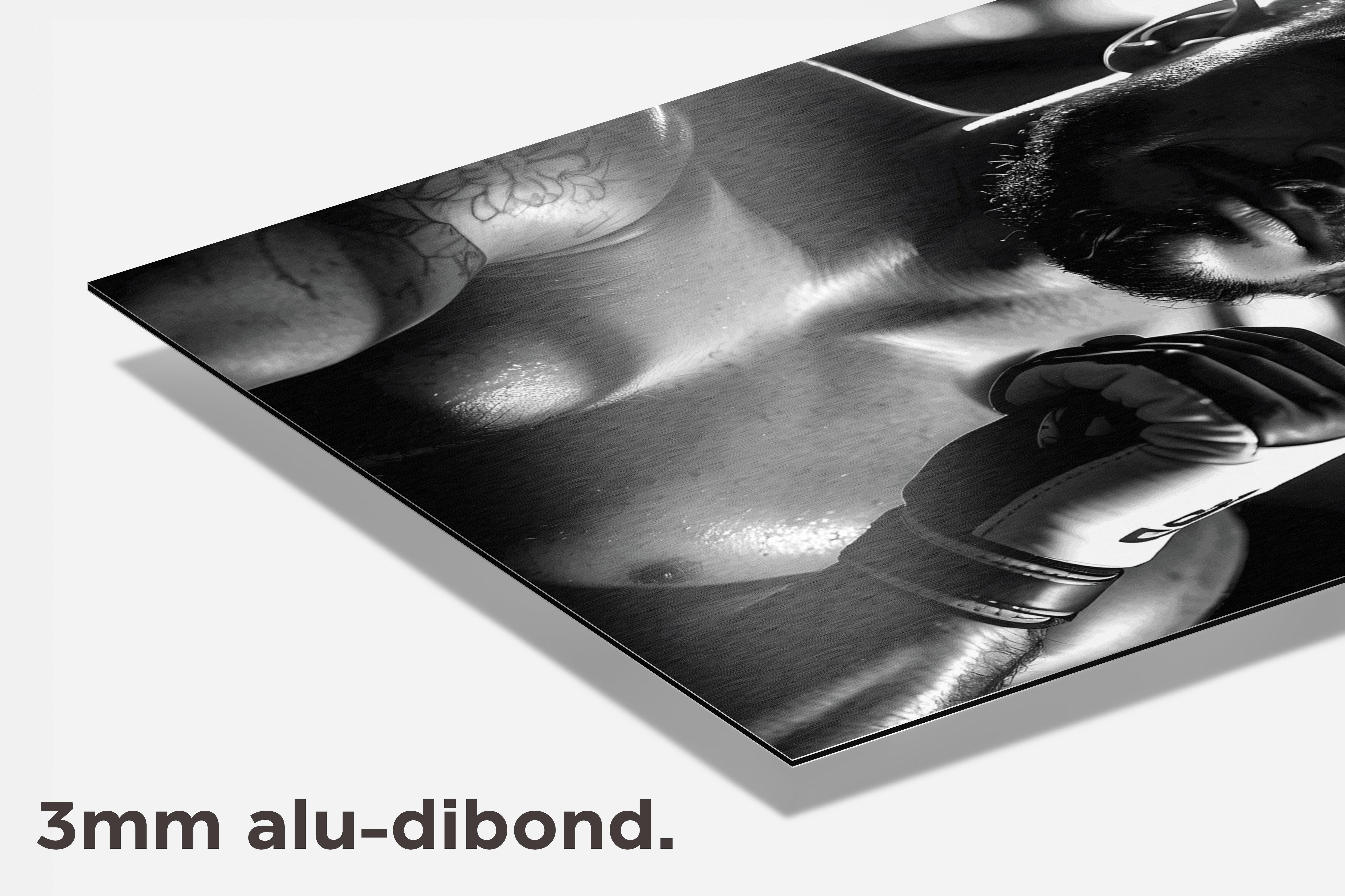 Free Fighter Zwart Wit dibond detail